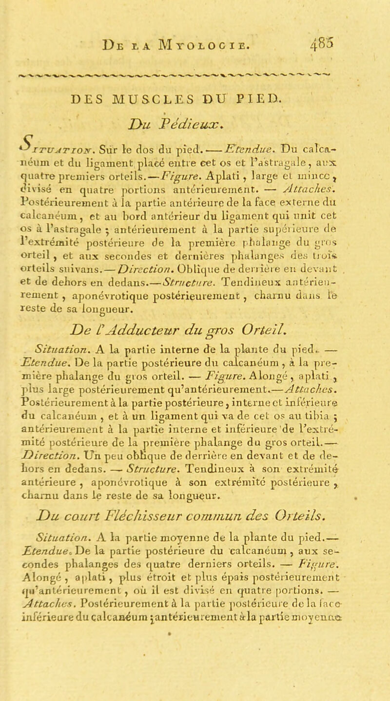 DES MUSCLES DU PIED. jyu dieux, C ^iTUATiON. Sür le dos du pied. Etendue. Du caîca.- iiéum et du ligament placé entre eet os et l’astragale, ai;x quatre premiers orteils.—Figure. Aplati, large et mince, divisé en quatre portions antérieurement. — Attaches. Postéiieurement à la partie antérieure de la face externe du calcanéum, et au bord antérieur du ligament qui unit cet os à l’astragale ^ antérieurement à la partie supérieure de l’extrémité postérieure de la première phalange du gros orteil, et aux secondes et dernières phalange.s des liui» orteils suivans. — Direction. Oblique de derrière en devant et de dehors en dedans.—Structure. Tendineux antérieu- rement , aponévrotique postérieurement, charnu dans le reste de sa longueur. De Adducteur du gros Orteil. Situation. A la partie interne de la plante du pied.. — Etendue. De la partie postérieure du calcanéum , à la pre- mière phalange du gros orteil. — Figure. Alongé, aplati , ]dus large postérieurement qu’antérieurement.—Attaches. Postérieurement à la partie postérieure, interne et inférieure du calcanéum , et à un ligament qui va de cet os au tibia 5 antérieurement à la partie interne et inférieure de l’extré- mité postérieure de la première phalange du gros orteil.— Direction. Un peu oblique de derrière en devant et de de- hors en dedans. — Structure. Tendineux à son extiémité antérieure , aponévrotique à son extrémité postérieure , charnu dans le reste de sa longueur. Du court Fléchisseur commun des Orteils. Situation. A la partie moyenne de la plante du pied.— Etendue, De la partie postérieure du calcanéum, aux se- condes phalanges des quatre derniers orteils. — Figure. Alongé , aplati, plus étroit et plus épais postérieurement qii’antérleureraent, où il est divisé en quatre portions. — Attaches. Postérieurement à la partie postéricui e de la laco Inférieure du calcanéum ^antérieurement àla partie moy enaei