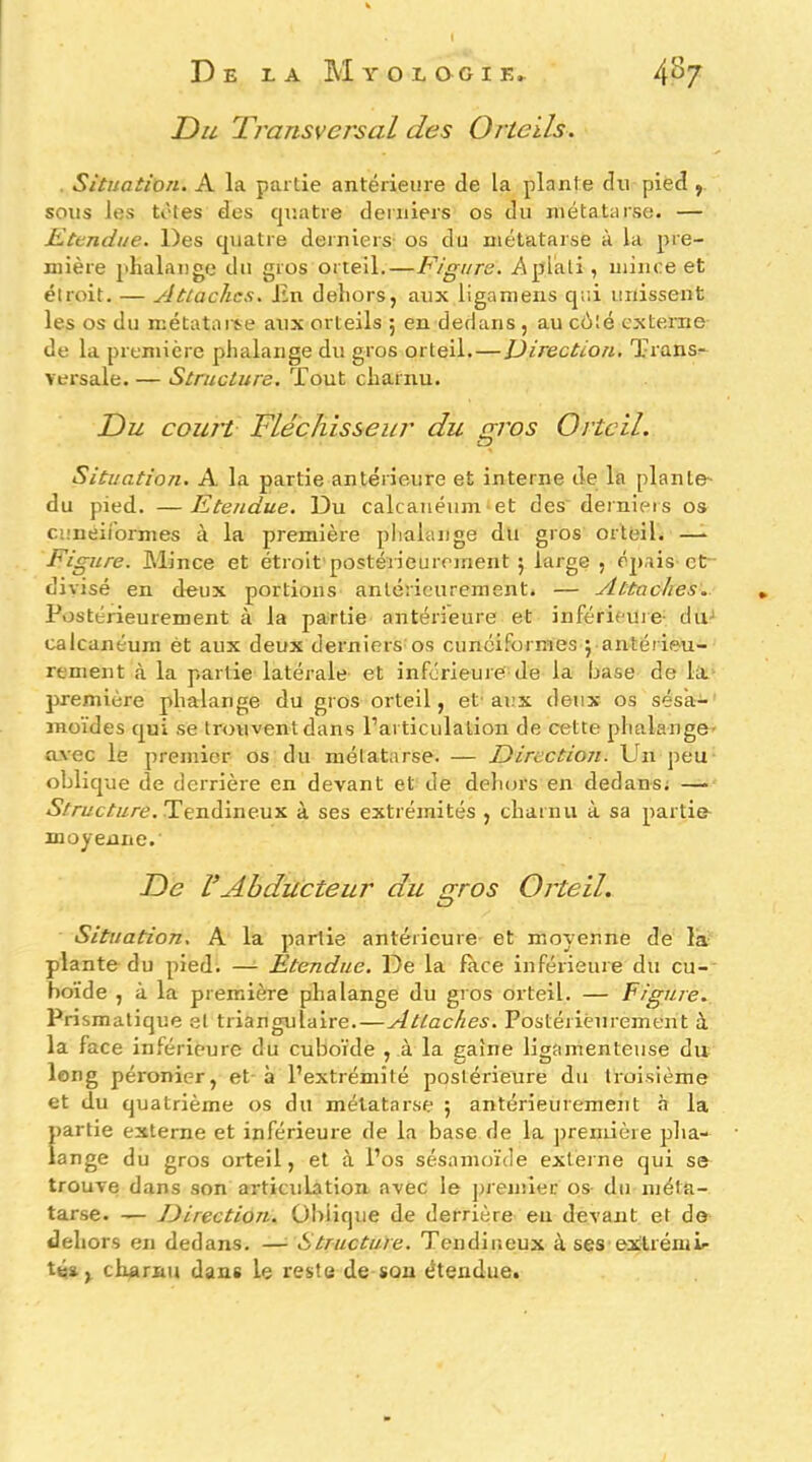 Du Transversal des Orteils. . Situation. A la partie antérieure de la plante du pied y sous les tètes des quatre derniers os du métatarse. — Ktendue. Des quatre derniers os du métatarse à la pre- mière ]>halai)ge du gros orteil.—Figure. Aplati, mince et étroit. — Attaches, Jtn dehors, aux ligamens qui unissent les os du métatai'se aux orteils ; en dedans , au cüté externe de la première phalange du gros orteil.—Direction, Transe versale. — Structure. Tout charnu. Du court Fléchisseur du m'os Orteil. Situation. A la partie antérieure et interne de la plante' du pied. — Etendue, Du calcanéum et des derniers os cunéirormes à la première plialange du gros orteil. —• Figure. Mince et étroit postérieurement j large , épais-et- divisé en deux portions antérieurement. — ylttaches. Postérieurement à la partie antérieure et inférieuie- du-' calcanéum èt aux deux derniers os cunéiformes ; antérieu- rement <à la partie latérale et inférieuie' de la hase de lit première phalange du gros orteil, et-aux deux os sés'a- jnoïdes qui se trouvent dans l’articulation de cette phalange- o-vec le premier os du métatarse. — Direction. Un peu oblique de derrière en de-vant et de deliors en dedans; — Structure. à ses extrémités , charnu à sa partin moyenne. De VAbducteur du gros Orteil. Situation. A la partie antérieure et moyenne de la plante du pied. —- Etendue. De la face inférieure du cu- boïde , à la première phalange du gros orteil. — Figure. Prismatique et triangulaire.—Attaches. Postérieurement à la face inférieure du cuboïde , à la eaîne ligamenteuse du long péronier, et à l’extrémité postérieure du troisième et du quatrième os du métatarse ; antérieuremeiit à la partie externe et inférieure de la base de la jiremière pha- lange du gros orteil, et à l’os sésamoïde externe qui se trouve dans son articulation avec le premier os du méta- tarse. — Jdirection. Oblique de derrière eu devant et do dehors en dedans. —^ Structure. Tendineux à ses exlrémL-