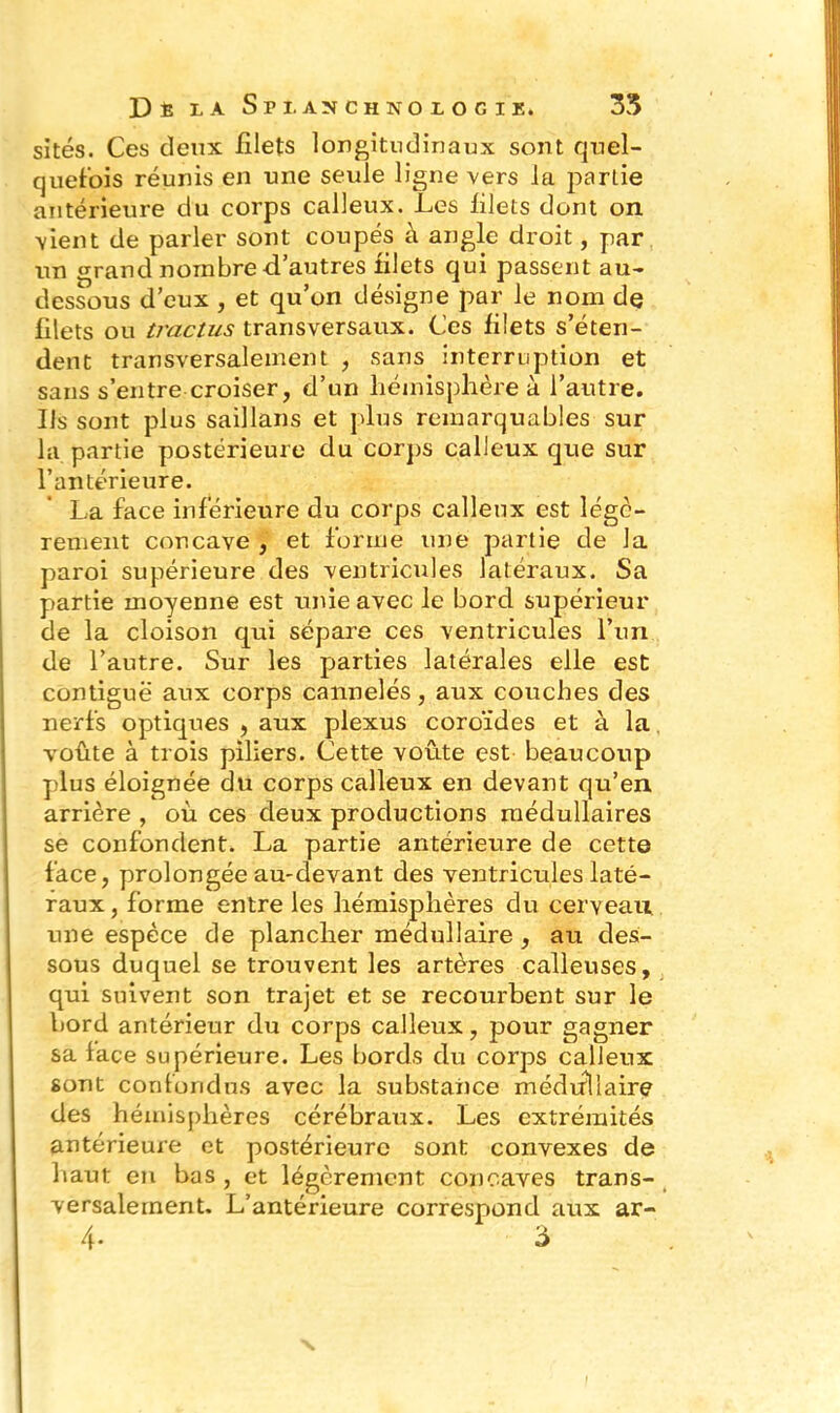 sites. Ces deux filets longitudinaux sont quel- quefois réunis en une seule ligne vers ia partie antérieure du corps calleux. Les filets dont on vient de parler sont coupés à angle droit, par un grand nombre-d'autres filets qui passent au- dessous d’eux , et qu’on désigne par le nom de filets ou tractus transversaux. Ces filets s’éten- dent transversalement , sans interruption et sans s’entre croiser, d’un hémisphère à l’autre. Ils sont plus saillans et plus remarquables sur la partie postérieure du corps calleux que sur l’antérieure. La face inférieure du corps calleux est légè- rement concave , et forme une partie de la paroi supérieure des ventricules latéraux. Sa partie moyenne est unie avec le bord supérieur de la cloison qui sépare ces ventricules l’un de l’autre. Sur les parties latérales elle est contiguë aux corps cannelés, aux couches des nerfs optiques , aux plexus coroïdes et à la voûte à trois piliers. Cette voûte est beaucoup plus éloignée du corps calleux en devant qu’en arrière , où ces deux productions médullaires se confondent. La partie antérieure de cette face, prolongée au-devant des ventricules laté- raux, forme entre les hémisphères du cerveau une espèce de plancher médullaire , au des- sous duquel se trouvent les artères calleuses, qui suivent son trajet et se recourbent sur le bord antérieur du corps calleux, pour gagner sa face supérieure. Les bords du corps calleux sont confondus avec la substance médullaire des hémisphères cérébraux. Les extrémités antérieure et postérieure sont convexes de haut en bas , et légèrement concaves trans- versalement. L’antérieure correspond aux ar- 4- à