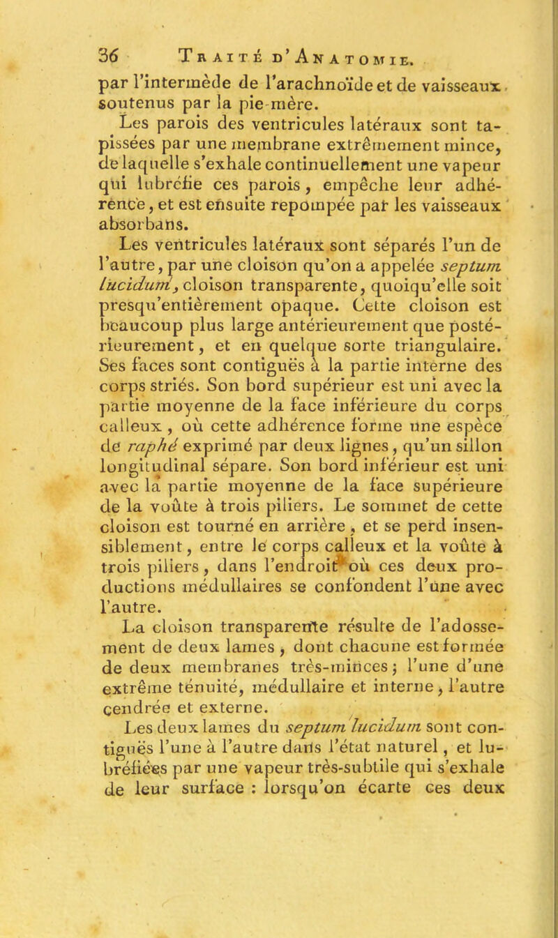 par 1 intermede de l’arachnoïde et de vaisseaux soutenus par la pie mère. Les parois des ventricules latéraux sont ta- pissées par une membrane extrêmement mince, de laquelle s’exhale continuellement une vapeur qui lubrcfie ces parois, empêche leur adhé- rence, et est ensuite repompée pat les vaisseaux absorbans. Les ventricules latéraux sont séparés l’un de l’autre, par une cloison qu’on a appelée septum, lucidum, cloison transparente, quoiqu’elle soit presqu’entièrement opaque. Cette cloison est beaucoup plus large antérieurement que posté- rieurement, et en quelque sorte triangulaire. Ses faces sont contiguës à la partie interne des corps striés. Son bord supérieur est uni avec la partie moyenne de la face inférieure du corps calleux , où cette adhérence forme une espèce de raphé exprimé par deux lignes, qu’un sillon longitudinal sépare. Son bord inférieur est uni avec la partie moyenne de la face supérieure de la voûte à trois piliers. Le sommet de cette cloison est tourné en arrière , et se perd insen- siblement, entre le corps calleux et la voûte à trois piliers, dans l’endroituoù ces deux pro- ductions médullaires se confondent l’une avec l’autre. La cloison transparente résulte de l’adosse- ment de deux lames , dont chacune est formée de deux membranes très-minces ; l’une d’une extrême ténuité, médullaire et interne, l’autre cendrée et externe. Les deux lames du septum lucidum sont con- tiguës l’une à l’autre darls l’état naturel, et lu- bréfiées par une vapeur très-subtile qui s’exhale de leur surface : lorsqu’on écarte ces deux