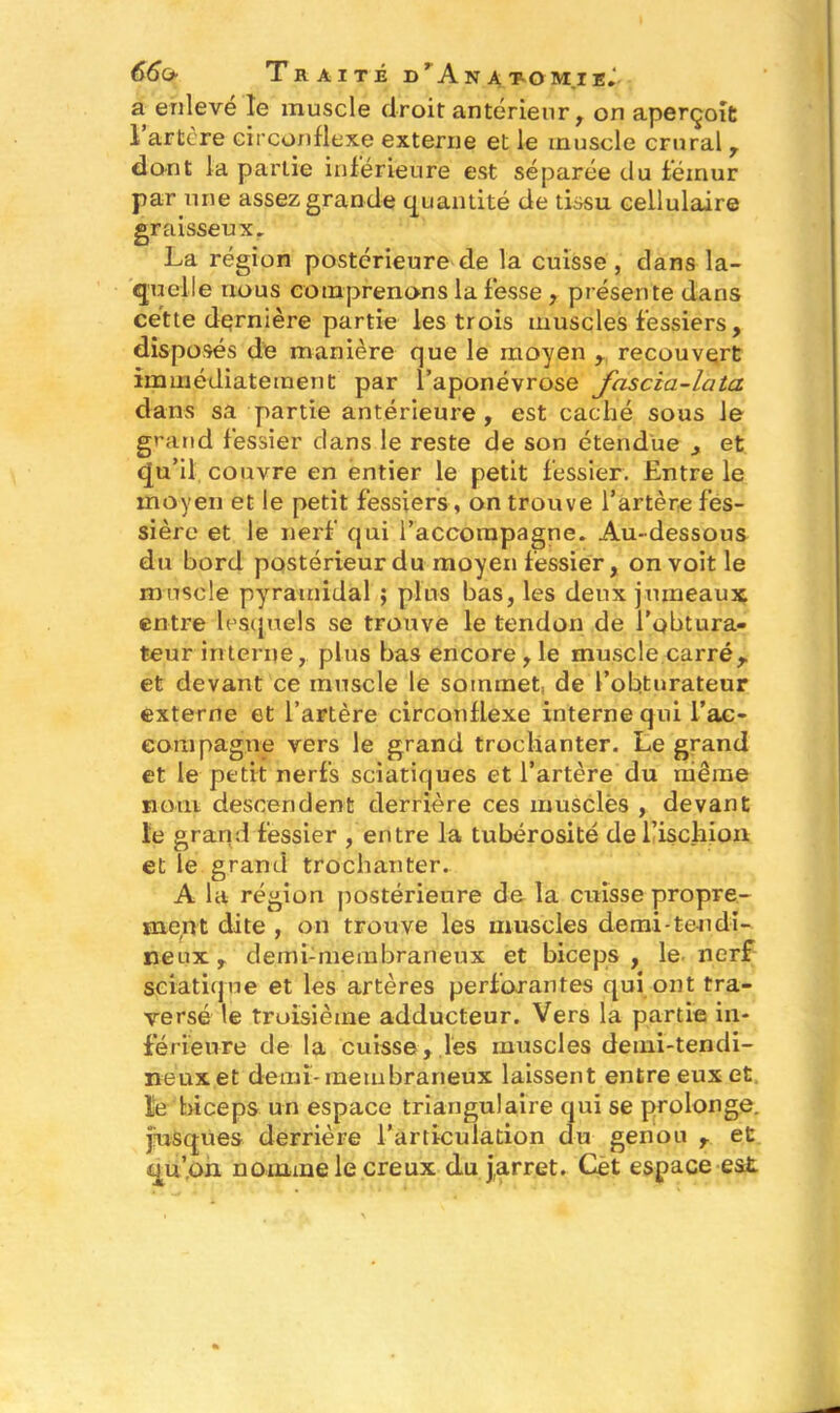 a enlevé le muscle droit antérieur , on aperçoit 1 artère circonflexe externe et le muscle crural , dont la partie inférieure est séparée du fémur par une assez grande quantité de tissu cellulaire graisseux. La région postérieure de la cuisse , clans la- quelle nous comprenons la fesse , présente dans cette dernière partie les trois muscles fessiers, disposés de manière que le moyen , recouvert immédiatement par l’aponévrose fascta-lata dans sa partie antérieure , est caché sous le grand fessier dans le reste de son étendue , et qu’il couvre en entier le petit fessier. Entre le moyen et le petit fessiers, on trouve l’artère fes- sière et le nerf qui raccompagne. Au-dessous du bord postérieur du moyen fessier, on voit le muscle pyramidal ; plus bas, les deux jumeaux entre lesquels se trouve le tendon de l’obtura- teur interne, plus bas encore, le muscle carré, et devant ce muscle le sommet, de l’obturateur externe et l’artère circonflexe interne qui rac- compagne vers le grand trochanter. Le grand et le petit nerfs sciatiques et l’artère du même nom descendent derrière ces musclés , devant le grand fessier , entre la tubérosité de l'ischion et le grand trochanter. A la région postérieure de la cuisse propre- ment dite , on trouve les muscles demi-tendi- neux, demi-membraneux et biceps, le nerf sciatique et les artères perforantes qui ont tra- versé le troisième adducteur. Vers la partie in- ferieure de la cuisse, les muscles demi-tendi- neux et demi-membraneux laissent entre eux et le biceps un espace triangulaire qui se prolonge, fu&qties derrière l’articulation du genou , et qu’on nomme le creux du j,arrêt. Cet espace est