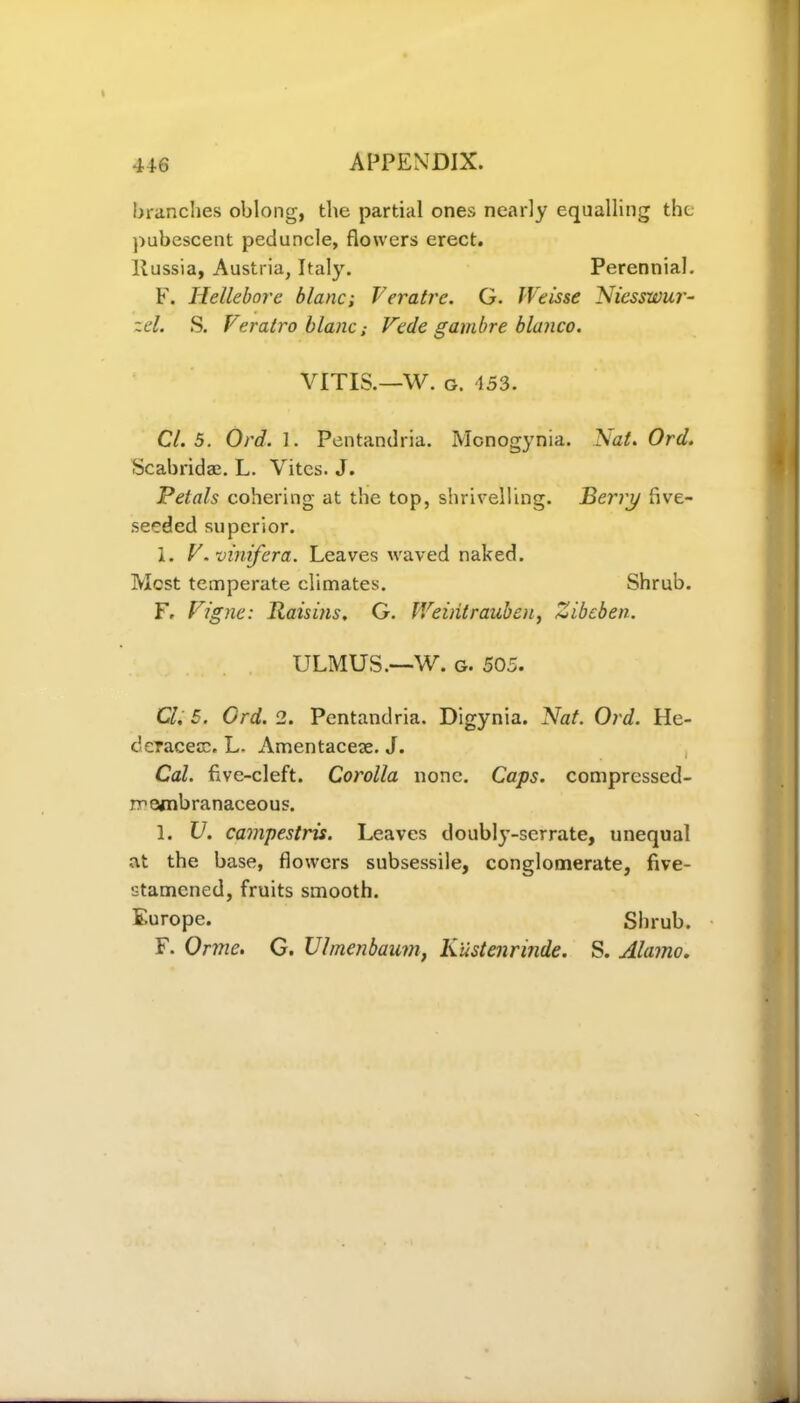 branches oblong, the partial ones nearly equalling the pubescent peduncle, flowers erect. liussia, Austria, Italy. Perennial. F. Hellebore blanc; Veratre. G. IVeisse Niesswur- zel. S. f eratro blancVcde gambre bianco. VITIS.—W. g. 153. Cl. 5. Orel. 1. Pentandria. Mcnogynia. Nat. Orel. Scabridae. L. Vites. J. Petals cohering at the top, shrivelling. Berry five- seeded superior. I. V. vinifera. Leaves waved naked. Mcst temperate climates. Shrub. F. Vigne: Raisins. G. Weiiitrauben, Zibeben. ULMUS.—-W. g. 505. Cl. 5. Grd. 2. Pentandria. Digynia. Nat. Ord. He- dcracecc. L- Amentacese. J. Cal. five-cleft. Corolla none. Caps, compressed- rrombranaceous. 1. U. campestris. Leaves doubly-serrate, unequal at the base, flowers subsessile, conglomerate, five- stamcned, fruits smooth. Europe. Shrub. F. Orme. G. U/menbaum, liiistenrinde. S. Alamo.