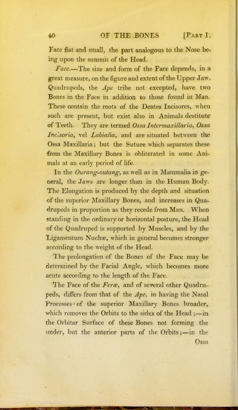 Face flat and small, the part analogous to the Nose be- ing upon the summit of the Head. Face.—The size and form of the Face depends, in a great measure, on the figure and extent of the Upper Jaw. Quadrupeds, the Ape tribe not excepted, have two Bones in the Face in addition to those found in Man. These contain the roots of the Dentes Incisores, when such are present, but exist also in Animals destitute of Teeth. They are termed Ossa Interniaxillariay Ossa Jnc'.soria^ vel Labia/ia, and are situated between the Ossa Maxillaria; but the Suture which separates these ■from the Maxillary Bones is obliterated in some Ani- mals at an early period of life. In the Ourang-outang^ as well as in Mammalia in ge- neral, the Jaw’s are longer than in the Human Body. The Elongation is produced by the depth and situation of the superior jVIaxillary Bones, and increases in Qua- drupeds in proportion as they recede from Man. When standing in the ordinary or horizontal posture, the Head of the Quadruped is supported by Muscles, and by the Ligamentum Nuchae, which in general becomes stronger according to the Aveight of the Head. I he prolongation of the Bones of the Face may be determined by the Facial Angle, which becomes more acute according to the length of the Face. 'I he Face of the Ferae, and of several other Quadru- peds, differs from that of the Ape, in having the Nasal Processes'of the superior Maxillary Bones broader, which removes the Orbits to the sides of the FIcad ;—in the Orbitar Surface of these Bones not forming the under, but the anterior parts of the Orbits;—in the Ossa