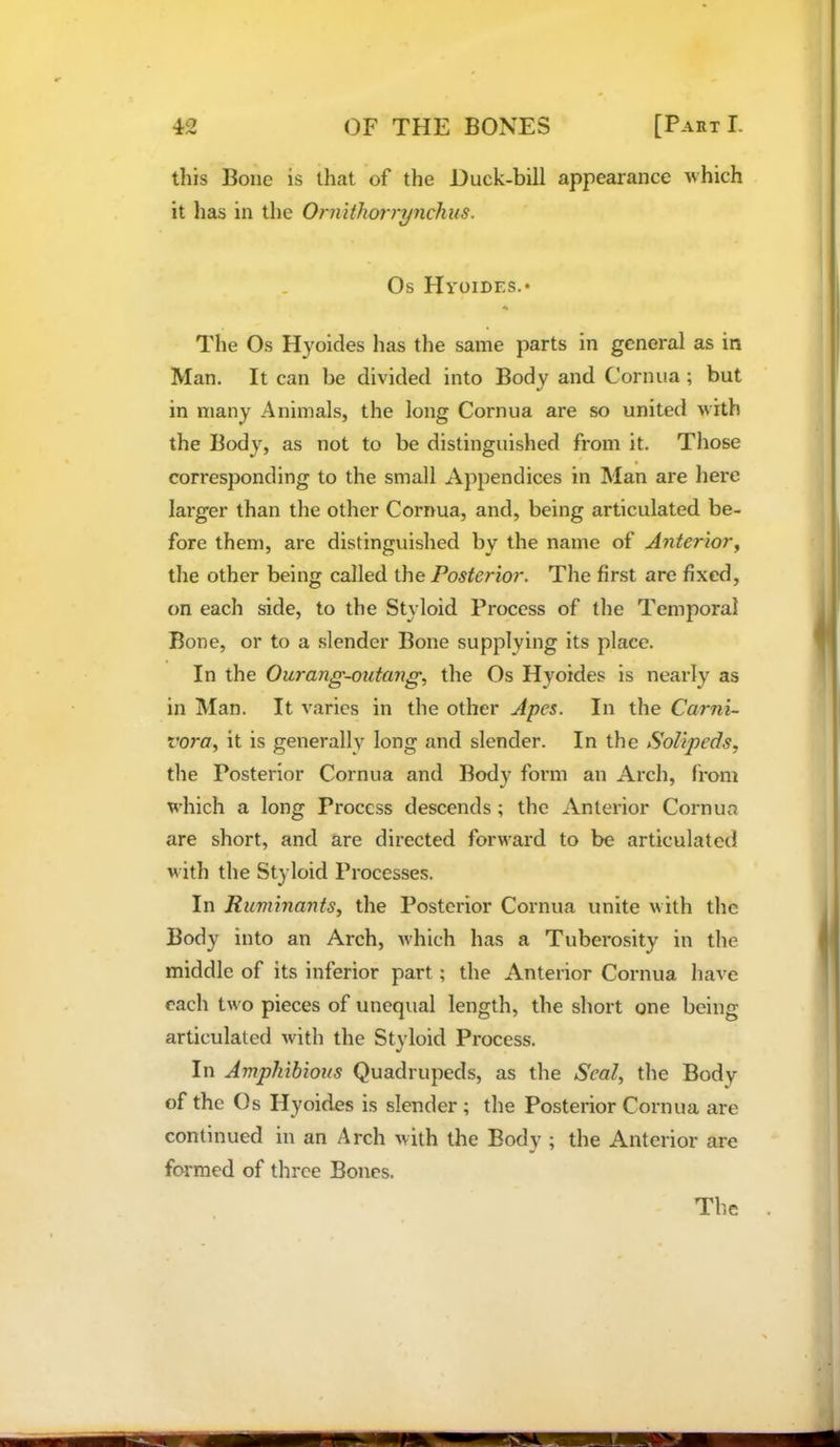 this Bone is that of the Duck-bill appearance which it has in the Oniithon'7/nchus. Os Hyoides.* The Os Hyoides has the same parts in general as in Man. It can be divided into Body and Cornua ; but in many Animals, the long Cornua are so united with the Body, as not to be distinguished from it. Those corresponding to the small Appendices in Man are here larger than the other Cornua, and, being articulated be- fore them, are distinguished by the name of Anterior^ the other being called the Posterior. The first are fixed, on each side, to the Styloid Process of the Temporal Bone, or to a slender Bone supplying its place. In the Ourang-outanff, the Os Hyoides is nearly as in Man. It varies in the other Apes. In the Carni- vora., it is generally long and slender. In the SoUpeds, the Posterior Cornua and Body form an Arch, from which a long Process descends ; the Anterior Cornua are short, and are directed forward to be articulated with the Styloid Processes. In Ruminants, the Posterior Cornua unite with the Body into an Arch, which has a Tuberosity in the middle of its inferior part; the Anterior Cornua have each two pieces of unequal length, the short one being articulated with the Styloid Process. In Amphibious Quadrupeds, as the Seal, the Body of the Os Hyoides is slender; the Posterior Cornua are continued in an Arch with the Body ; the Anterior are formed of three Bones.