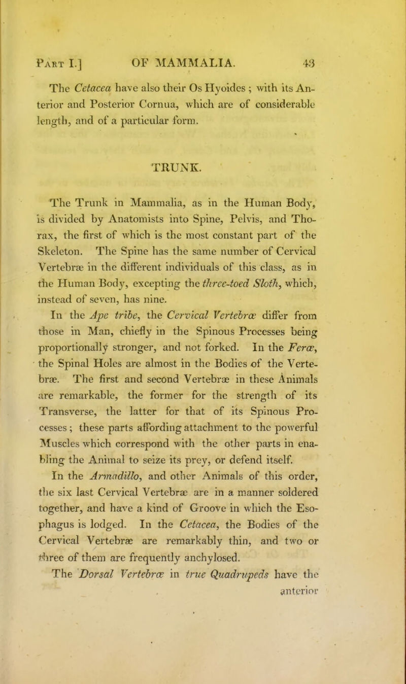 The Cetacea have also their Os Hyoides ; with its An- terior and Posterior Cornua, which are of considerable length, and of a particular form. TRUNK, The Trunk in Mammalia, as in the Human Body, is divided by Anatomists into Spine, Pelvis, and Tho- rax, the first of which is the most constant part of the Skeleton, The Spine has the same number of Cervical Vertebrae in the different individuals of this class, as in the Human Body, excepting the thrce-toed Sloth, which, instead of seven, has nine. In the Ape tribe, the Cervical Vertebrae differ from those in Man, chiefly in the Spinous Processes being proportionally stronger, and not forked. In the Ferae, the Spinal Holes are almost in the Bodies of the Verte- brae. The first and second Vertebrae in these Animals are remarkable, the former for the strength of its Transverse, the latter for that of its Spinous Pro- cesses ; these parts affording attachment to the powerful IMuscles which correspond with the other parts in ena- bling the Animal to seize its prey, or defend itself. In the Armadillo, and other Animals of this order, the six last Cervical Vertebrae are in a m.anner soldered together, and have a kind of Groove in which the Eso- phagus is lodged. In the Cetacea, the Bodies of the Cervical Vertebrae are remarkably thin, and two or three of them arc frequently anchylosed. The 'Dorsal Vertebras in true Quadrupeds have the anterior