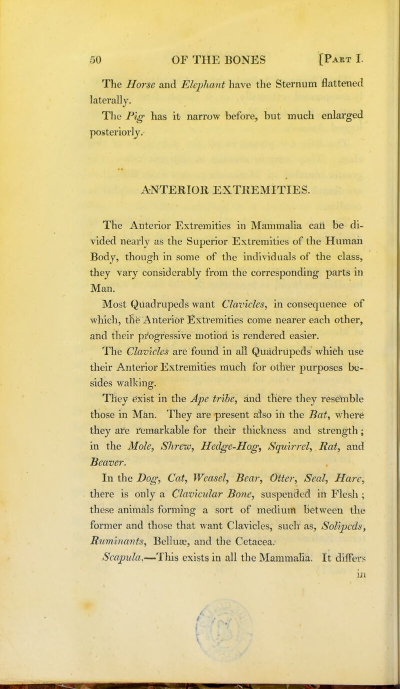 Tlie Horse and Elephant have the Sternum flattened laterally. Tl le Pig has it narrow before, but much enlarged posteriorlj.- ANTERIOR EXTREMITIES. The Anterior Extremities in Mammalia can be di- vided nearly as the Superior Extremities of the Human Body, though in some of the individuals of the class, they vary considerably from the corresponding parts in Man. Most Quadrupeds want Clavicles, in consequence of which, the Anterior Extremities come nearer each other, and their pi'ogfessive motiorl is rendered easier. The Clavicles are found in all Quadrupeds which use their Anterior Extremities much for other purposes be- sides walking. They exist in the Ape tribe, and there they resemble those in Man. They are present also in the Bat, where they are remarkable for their thickness and strength; in the Mole, Shrew, Hedge-Hog, Squirrel, Rat, and Beaver. In the Dog, Cat, Weasel, Bear, Otter, Seal, Hare, there is only a Clavicular Bone, suspended in Flesh ; these animals forming a sort of medium between the former and those that want Clavicles, such as, SoHjjcds, Ruminants, Bellua?, and the Cetacea.' Scapula,—This exists in all the Mammalia. It differs hi 4 i \ i