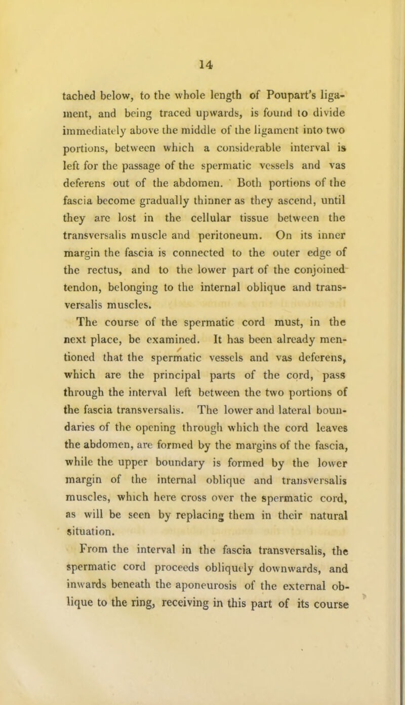 tached below, to the whole length of Poupart’s liga- ment, and being traced upwards, is found to divide immediately above the middle of the ligament into two portions, between which a considerable interval is left for the passage of the spermatic vessels and vas deferens out of the abdomen. Both portions of the fascia become gradually thinner as they ascend, until they are lost in the cellular tissue between the transversalis muscle and peritoneum. On its inner margin the fascia is connected to the outer edge of the rectus, and to the lower part of the conjoined- tendon, belonging to the internal oblique and trans- versalis muscles. The course of the spermatic cord must, in the next place, be examined. It has been already men- tioned that the spermatic vessels and vas deferens, which are the principal parts of the cord, pass through the interval left between the two portions of the fascia transversalis. The lower and lateral boun- daries of the opening through which the cord leaves the abdomen, are formed by the margins of the fascia, while the upper boundary is formed by the lower margin of the internal oblique and transversalis muscles, which here cross over the spermatic cord, as will be seen by replacing them in their natural situation. From the interval in the fascia transversalis, the spermatic cord proceeds obliqutly downwards, and inwards beneath the aponeurosis of the external ob- lique to the ring, receiving in this part of its course *