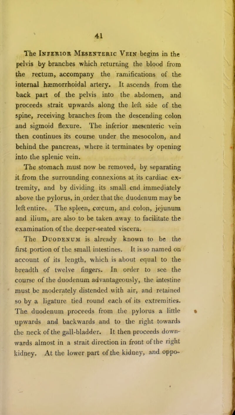 The Inferior Mesenteric Vein begins in the pelvis by branches which returning the blood from the rectum, accompany the ramifications of the internal haemorrhoidal artery. It ascends from the back part of the pelvis into the abdomen, and proceeds strait upwards along the left side of the spine, receiving branches from the descending colon and sigmoid flexure. The inferior mesenteric vein then continues its course under the mesocolon, and behind the pancreas, where it terminates by opening into the splenic vein. The stomach must now be removed, by separating it from the surrounding connexions at its cardiac ex- tremity, and by dividing its small end immediately above the pylorus, in ,order that the duodenum may be left entire. The spleen, coecum, and colon, jejunum and ilium, are also to be taken away to facilitate the examination of the deeper-seated viscera. The Duodenum is already known to be the first portion of the small intestines. It is so named on account of its length, which is about equal to the breadth of twelve fingers. In order to see the course of the duodenum advantageously, the intestine must be moderately distended with air, and retained so by a ligature tied round each of its extremities. The duodenum proceeds from the pylorus a little • upwards and backwards and to the right towards the neck of the gall-bladder. It then proceeds down- wards almost in a strait direction in front of the right kidney. At the lower part of the kidney, and oppo-