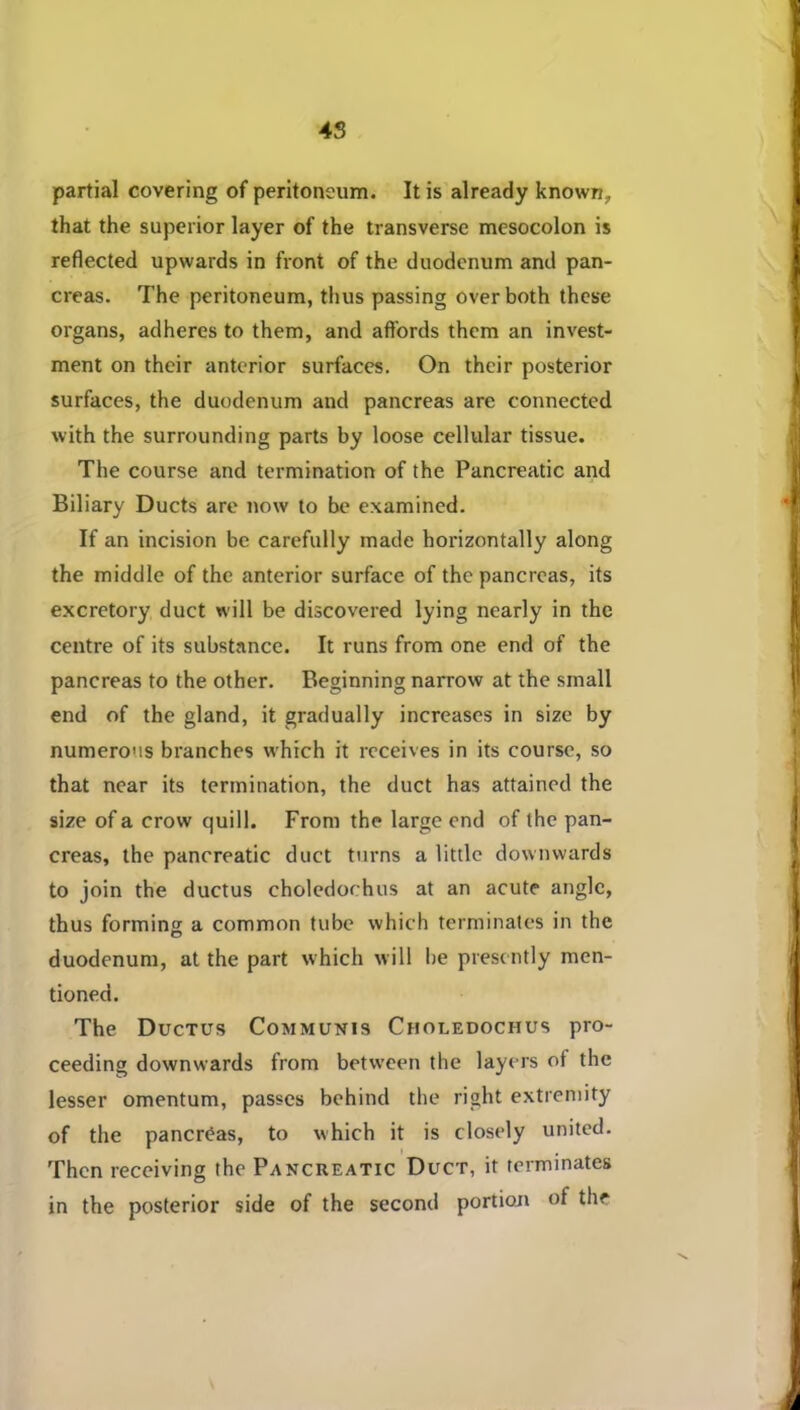 4S partial covering of peritoneum. It is already known, that the superior layer of the transverse mesocolon is reflected upwards in front of the duodenum and pan- creas. The peritoneum, thus passing over both thes’e organs, adheres to them, and affords them an invest- ment on their anterior surfaces. On their posterior surfaces, the duodenum and pancreas are connected with the surrounding parts by loose cellular tissue. The course and termination of the Pancreatic and Biliary Ducts are now to be examined. If an incision be carefully made horizontally along the middle of the anterior surface of the pancreas, its excretory duct will be discovered lying nearly in the centre of its substance. It runs from one end of the pancreas to the other. Beginning narrow at the small end of the gland, it gradually increases in size by numerous branches which it receives in its course, so that near its termination, the duct has attained the size of a crow quill. From the large end of the pan- creas, the pancreatic duct turns a little downwards to join the ductus choledochus at an acute angle, thus forming a common tube which terminates in the duodenum, at the part which will be presently men- tioned. The Ductus Communis Choledochus pro- ceeding downwards from between the layers of the lesser omentum, passes behind the right extremity of the pancreas, to which it is closely united. Then receiving the Pancreatic Duct, it terminates in the posterior side of the second portioji of the