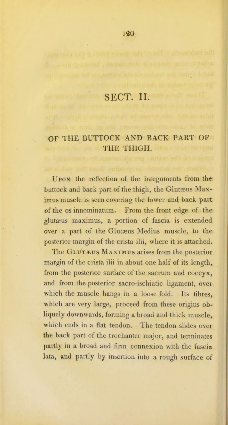 SECT. II. OF THE BUTTOCK AND BACK PART OF THE THIGH. Upou the reflection of tlie integuments from the buttock and back part of tlie thigh, the Gluteeus Max- imus muscle is seen covering the lower and back part of the os innominatum. From the front edge of the glutaeus maximus, a portion of fascia is extended over a part of the Glutreus Medius muscle, to the posterior margin of the crista ilii, where it is attached. The GlutjEUs Maximus arises from the posterior margin of the crista ilii in about one half of its length, from the posterior surface of the sacrum and coccyx, and from the posterior sacro-ischiatic ligament, over which the muscle hangs in a loose fold. Its fibres, which are very large, proceed from these origins ob- liquely downwaids, forming a broad and thick muscle, which ends in a flat tendon. The tendon slides over the back part of the trochanter major, and terminates partly in a broad and firm connexion with the fascia lata, and partly by insertion into a rough surface of