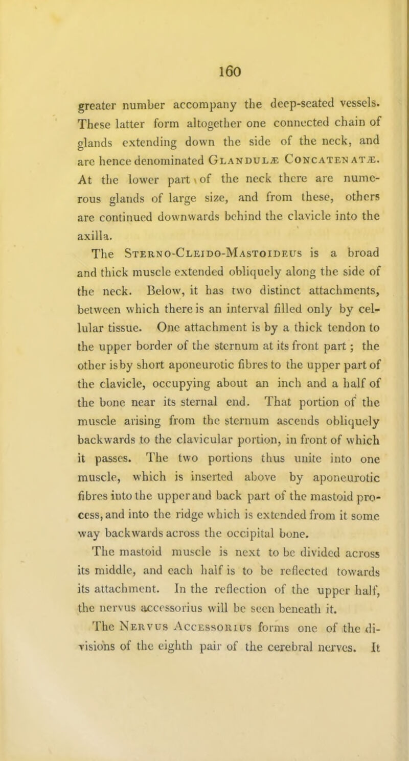 greater number accompany the deep-seated vessels. These latter form altogether one connected chain of glands extending down the side of the neck, and arc hence denominated Glandulje Concatenate. At the lower part < of the neck there are nume- rous glands of large size, and from these, others are continued downwards behind the clavicle into the axilla. The Sterno-Cleido-Mastoideus is a broad and thick muscle extended obliquely along the side of the neck. Below, it has two distinct attachments, between which there is an interval filled only by cel- lular tissue. One attachment is by a thick tendon to the upper border of the sternum at its front part; the other is by short aponeurotic fibres to the upper part of the clavicle, occupying about an inch and a half of the bone near its sternal end. That portion of the muscle arising from the sternum ascends obliquely backwards to the clavicular portion, in front of which it passes. The two portions thus unite into one muscle, which is inserted above by aponeurotic fibres into the upper and back part of the mastoid pro- cess, and into the ridge which is extended from it some way backwards across the occipital bone. The mastoid muscle is next to be divided across its middle, and each half is to be reflected towards its attachment. In the reflection of the upper half, the nervus accessorius will be seen beneath it. The Nervus Accessorius forms one of the di- visions of the eighth pair of the cerebral nerves. It