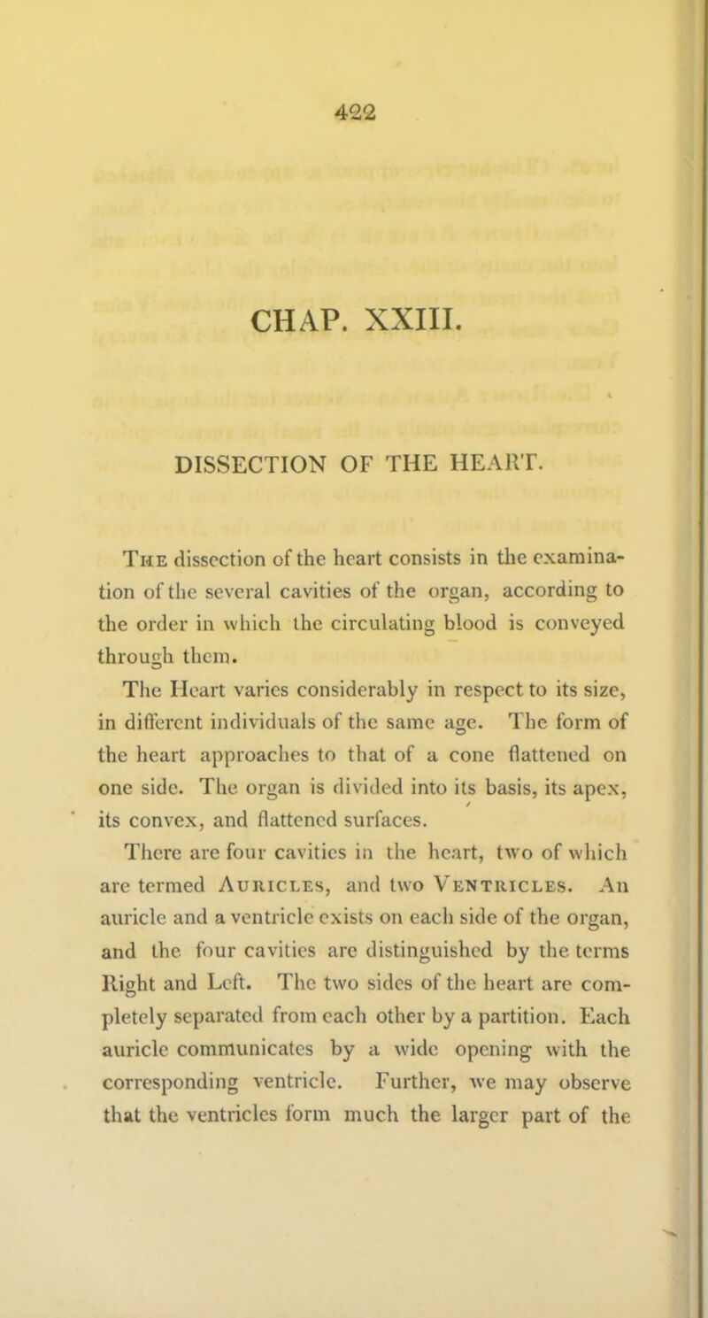 CHAP. XXIII. DISSECTION OF THE HEART. The dissection of the heart consists in the examina- tion of the several cavities of the organ, according to the order in which the circulating blood is conveyed through them. The Heart varies considerably in respect to its size, in different individuals of the same age. The form of the heart approaches to that of a cone flattened on one side. The organ is divided into its basis, its apex, its convex, and flattened surfaces. There are four cavities in the heart, two of which are termed Auricles, and two Ventricles. An auricle and a ventricle exists on each side of the organ, and the four cavities arc distinguished by the terms Right and Left. The two sides of the heart are com- pletely separated from each other by a partition. Each auricle communicates by a wide opening with the corresponding ventricle. Further, we may observe that the ventricles form much the larger part of the