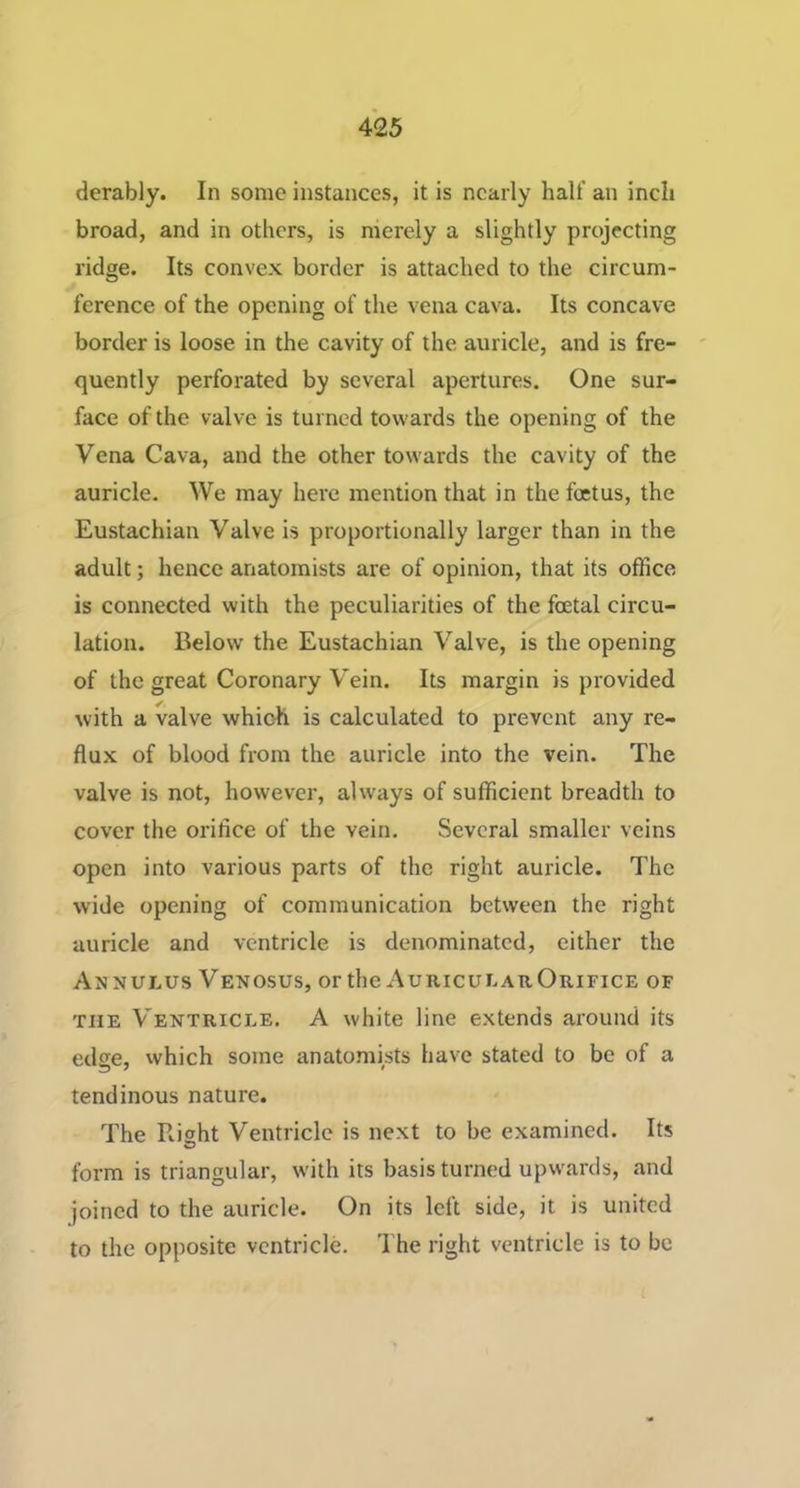 derably. In some instances, it is nearly half an inch broad, and in others, is merely a slightly projecting ridge. Its convex border is attached to the circum- ference of the opening of the vena cava. Its concave border is loose in the cavity of the auricle, and is fre- quently perforated by several apertures. One sur- face of the valve is turned towards the opening of the Vena Cava, and the other towards the cavity of the auricle. We may here mention that in the foetus, the Eustachian Valve is proportionally larger than in the adult; hence anatomists are of opinion, that its office is connected with the peculiarities of the foetal circu- lation. Below the Eustachian Valve, is the opening of the great Coronary Vein. Its margin is provided with a valve which is calculated to prevent any re- flux of blood from the auricle into the vein. The valve is not, however, ahvays of sufficient breadth to cover the orifice of the vein. Several smaller veins open into various parts of the right auricle. The wide opening of communication between the right auricle and ventricle is denominated, either the Annulus Venosus, or the Auricular Orifice of THE V^ENTRiCLE. A white line extends around its edge, which some anatomists have stated to be of a tendinous nature. The Right Ventricle is next to be examined. Its form is triangular, w'ith its basis turned upw'ards, and joined to the auricle. On its left side, it is united to the opposite ventricle. The right ventricle is to be