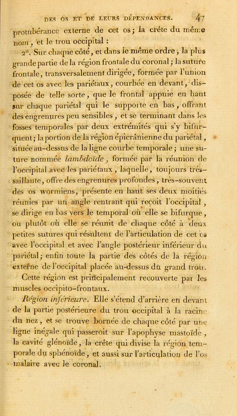 protubérance externe de cet os; la crête du mên;e Doni, et le trou occipital : 2“. Sur chaque côté, et dans le même ordre, la plus grande partie de la région frontale du coronal ; la suture frontale, transversalement dirigée, formée par l’union de cet os avec les pariétaux, courbée en devant, dis- posée de telle sorte, que le frontal appuie en haut sur chaque pariétal qui le suppoite en bas, offrant des engrenures peu sensibles , et se terminant dans les fosses temporales par deux extrémités qui s’y bifur- quent; la portion de la région épicranienne du pariétal, située au-dessus de la ligne courbe temporale ; une su- ture nommée lambdoïde, formée par la réunion de l’occipital avec les pariétaux, laquelle, toujours très- saillante, offi-e des engrenures profondes, très-souvent des os wormiens, présente en haut ses deux moitiés réunies par un angle rentrant qui reçoit l’occipital , se dirige en bas vers le temporal où elle se bifurque, ou plutôt où elle se réunit de chaque côté à deux petites sutures qui résultent de l’articulation de cet os avec l’occipital et avec l’angle postérieur inférieur du pariétal; enfin toute la partie des côtés de la région externe de l’occipital placée au-dessus dû grand trou. Cette région est priiîcipalement recouverte par les muscles occipito-frontaux. Région inférieure. Elle s’étend d’arrière en devant de la partie postérieure du trou occipital à la racine du nez , et se trouve bornée de chaque côté par une ligne inégale qui passeroit sur l’apophyse mastoïde , la cavité glénoïde, la crête qui divise la région tem- porale du sphénoïde, et aussi sur l’articitlation de l’os malaire avec le coronal.