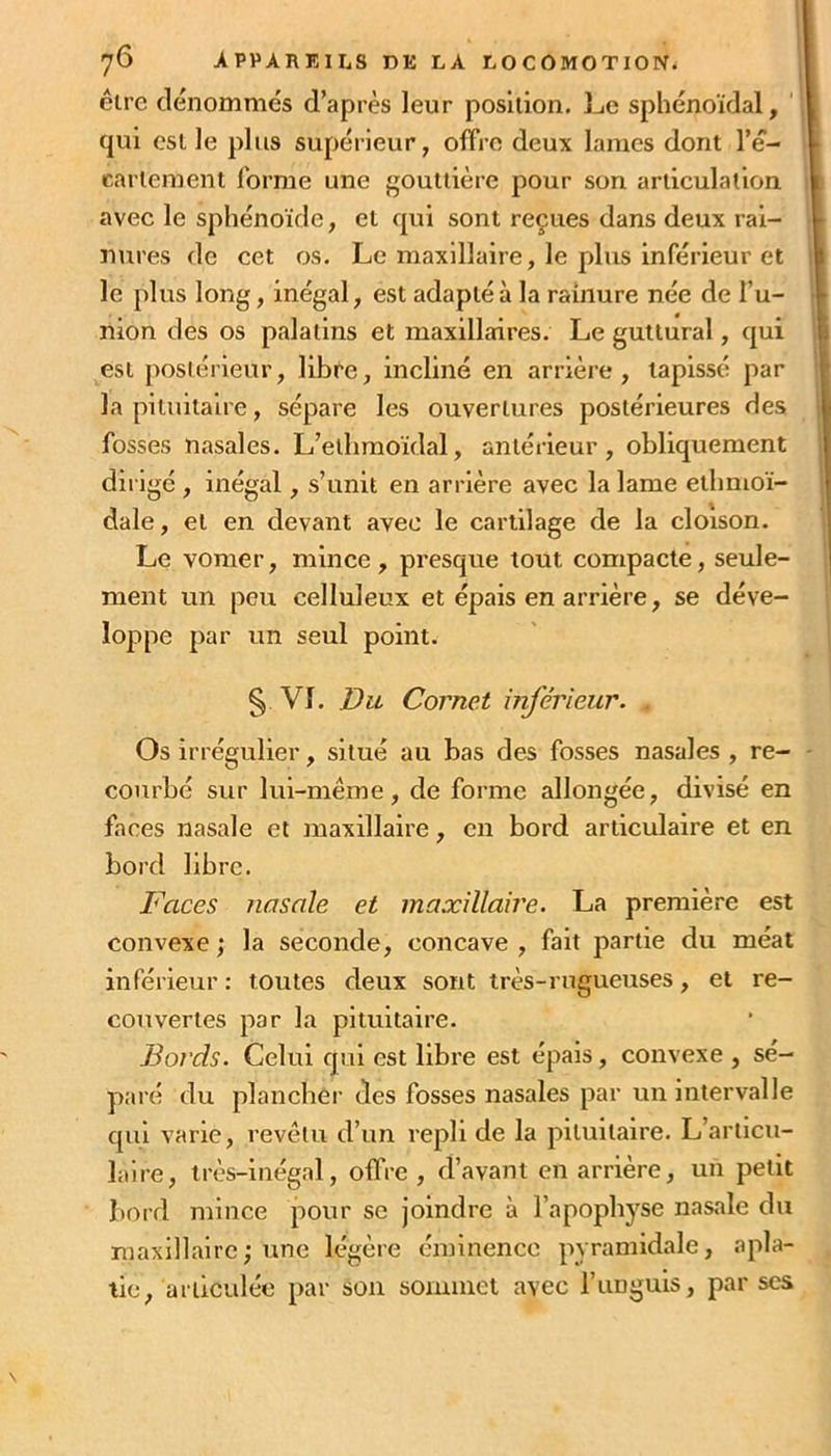 être dénommés d’après leur position. Le sphénoïdal, ‘ qui est le plus supérieur, offre deux lames dont l’e- cartement forme une gouttière pour son articulation avec le sphénoïde, et qui sont reçues dans deux rai- nures de cet os. Le maxillaire, le plus inférieur et le plus long, inégal, est adapté à la rainure née de l’u- nion des os palatins et maxillaires. Le guttural, qui est postérieur, libre, incliné en arrière, tapissé par la pituitaire, sépare les ouvertures postérieures des fosses nasales. L’elhraoïdal, antérieur, obliquement dirigé , inégal, s’unit en arrière avec la lame etbmoï- dale, et en devant avec le cartilage de la cloison. Le vomer, mince, presque tout compacte, seule- ment un peu celluleux et épais en arrière, se déve- loppe par un seul point. § VI. Du Cornet mférieur. . Os irrégulier, situé au bas des fosses nasales , re- courbé sur lui-même, de forme allongée, divisé en faces nasale et maxillaire, en bord articulaire et en bord libre. Faces nasale et maxillaire. La première est convexe ; la seconde, concave , fait partie du méat inférieur : toutes deux sont très-rugueuses, et re- couvertes par la pituitaire. Bords. Celui qui est libre est épais, convexe , sé- paré du plancbei' des fosses nasales par un intervalle qui varie, revêtu d’un repli de la pituitaire. L’articu- laire, très-inégal, offre , d’avant en arrière, un petit bord mince pour se joindre à l’apophyse nasale du maxillaire; une légère éminence pyramidale, apla- tie, articulée par son sommet avec l’iinguis, par scs \
