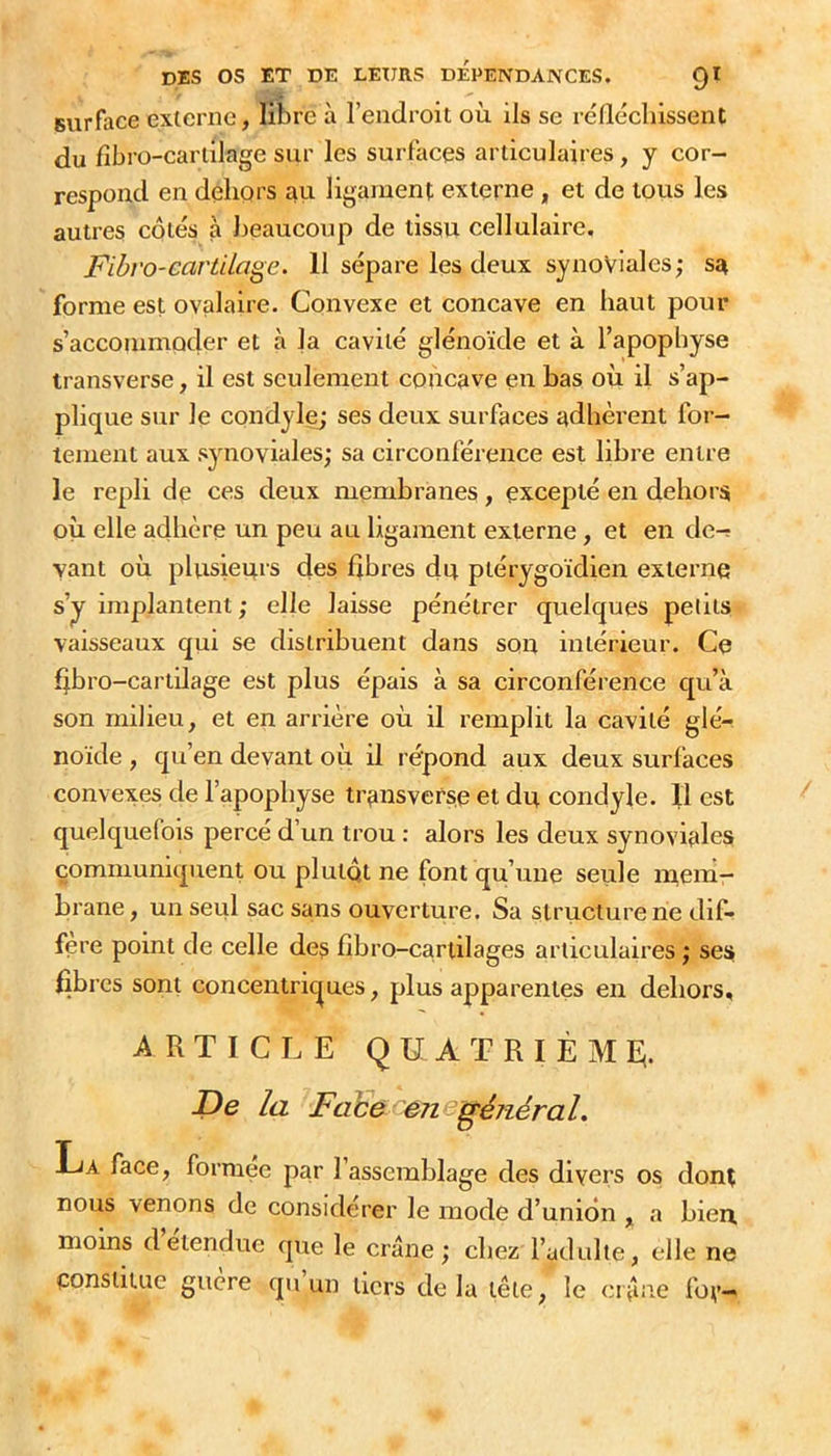 Burface externe, libre à l’eadroit où ils se réüéchissent du fibro-carlilage sur les surfaces articulaires, y cor- respond en dehors au ligament externe , et de tous les autres côtés à beaucoup de tissu cellulaire. Fihvo-cartilage. 11 sépare les deux synoviales; sr forme est ovalaire. Convexe et concave en haut pour s’accommoder et à la cavité glénoïde et à l’apopbyse transverse, il est seulement concave eu bas où il s’ap- plique sur le condyle; ses deux surfaces adhèrent for- tement aux synoviales; sa circonférence est libre entre le repli de ces deux membranes, excepté en dehors où elle adhère un peu au ligament externe, et en de-r vant où plusieuis des fibres du piérygoïdien externe s’y implantent ; elle laisse pénétrer quelques petits vaisseaux qui se distribuent dans son intérieur. Ce fibro-carldage est plus épais à sa circonférence qu’à son milieu, et en arrière où il remplit la cavité glé- noïde , qu’en devant où il répond aux deux surfaces convexes de l’apophyse transverse et du condyle. Il est quelquefois percé d’un trou : alors les deux synoviales communiquent ou plutôt ne font qu’une seule m,em- brane, un seul sac sans ouverture. Sa structure ne dif- féré point de celle des fibro-cartilages articulaires ; ses fibres sont concentriezues, plus apparentes en dehors, ARTICLE quatrième;. De la Face f'encgénéral. La face, formée par l’assemblage des divers os dont nous venons de considérer le mode d’union , a bien, moins d’étendue epie le crâne ; chez l’adulte, elle ne constitue gucre qu un tiers de la tête, le crâne fov—