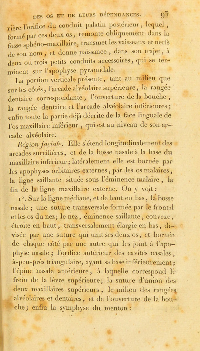 rlère l’orificc du conduil palaihi posiciicMu-, lequel , formé par ces deux os, reiuonic obliquemcnl dans la fosse spliciio—niaxillairc, transiiiel les vaisseaux ctneils de son nom, et donne naissance , dans son ii ajel, à deux ou trois petits conduits accessoires, qui se tei- minent sur l’apopliyse pyramidale. La portion verticale présente, tant au milieu que sur les côtés, l’arcade alvéolaire supérieure, la rangée dentaire correspondante , l’ouverture de la houclie , la rangée dentaire et l’arcade alvéolaire inférieures ; enfin toute la partie déjà décrite de la face linguale de l’os maxillaire inférieur , qui est au niveau de son ar- cade alvéolaire. Région Jaciale. Elle s’étend longitudinalement des arcades surcilières, et de la bosse nasale à la base du maxillaire inférieur; latéralement elle est bornée par les apophyses orbitaires externes, par les os malaires, la ligne saillante située sous l’éminence malaire , la fin de ladigne maxillaire externe. On y voit: 1°. Sur la ligne médiane, et de haut en bas, la bosse nasale ; une suture transversale formée par le frontal et les os du nez; le nez, éminence saillante, convexe,, étroite en haut, transversalement élargie en bas, di- visée par une suture qui unit ses deux os, et bornée de chaque côté par une autre qui les joint à l’apo- physe nasale ; l’orifice antérieur des cavités nasales, à-peu-près triangulaire, ayant sa base inférieurement; l’épine nasale antérieure, à laquelle correspond le frein de la lèvre supérieure; la suture d’union des deux maxillaires supérieurs, le milieu des rangée^ alvéolaires et dentaires, et de l’ouverture de la bon- che ; enfin la symphyse du menton :