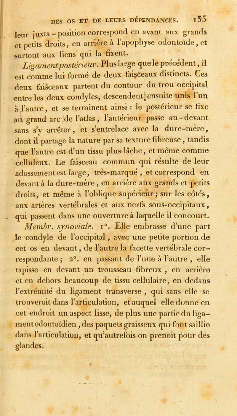 leur juxta-position correspond en avant aux grands et petits droits, en arrière à l’apophyse odontoïde, et surtout aux liens qui la fixent. Ligainetitpostéi'ieiiv. Plus large que le precedent, il est comme lui forme de deux faisceaux distincts. Ces deux faisceaux partent du contour du trou occipital entre les deux condyles, descendent ■ ensuite unis l’un à l’autre, et se terminent ainsi ; le postérieur se fixe au grand arc de l’atlas, l’antérieur passe au-devant sans s’y arrêter, et s’entrelace avec la dure-mère, dont il partage la nature par sa texture fibreuse, tandis que l’autre est d’un tissu plus lâche, et même comme celluleux. Le faisceau commun qui résulte de leur adossement est large, très-marqué , et correspond en devant à la dure-mère, en arrière aux grands et petits droits, et même à l’oblique supérieur; sur les côtés, aux artères vertébrales et aux nerfs sous-occipitaux, qui passent dans une ouverture à laquelle il concourt. Membr. synoviale. i°. Elle embrasse d’une part le condyle de l’occipital, avec une petite portion de cet os en devant, de l’autre la facette vertébrale cor- respondante ; 2°. en passant de l’une à l’autre , elle tapisse en devant un trousseau fibreux , en arrière et en dehors beaucoup de tissu cellulaire, en dedans l’extrémité du ligament transverse , qui sans elle se trou veroit dans l’articulation, et auquel elle donne en cet endroit un aspect lisse, de plus une partie du liga- ment odontoidien, des paquets graisseux qui font saillie dans l’articulation, et qu’aulrefois on prenoit polir des glandes.