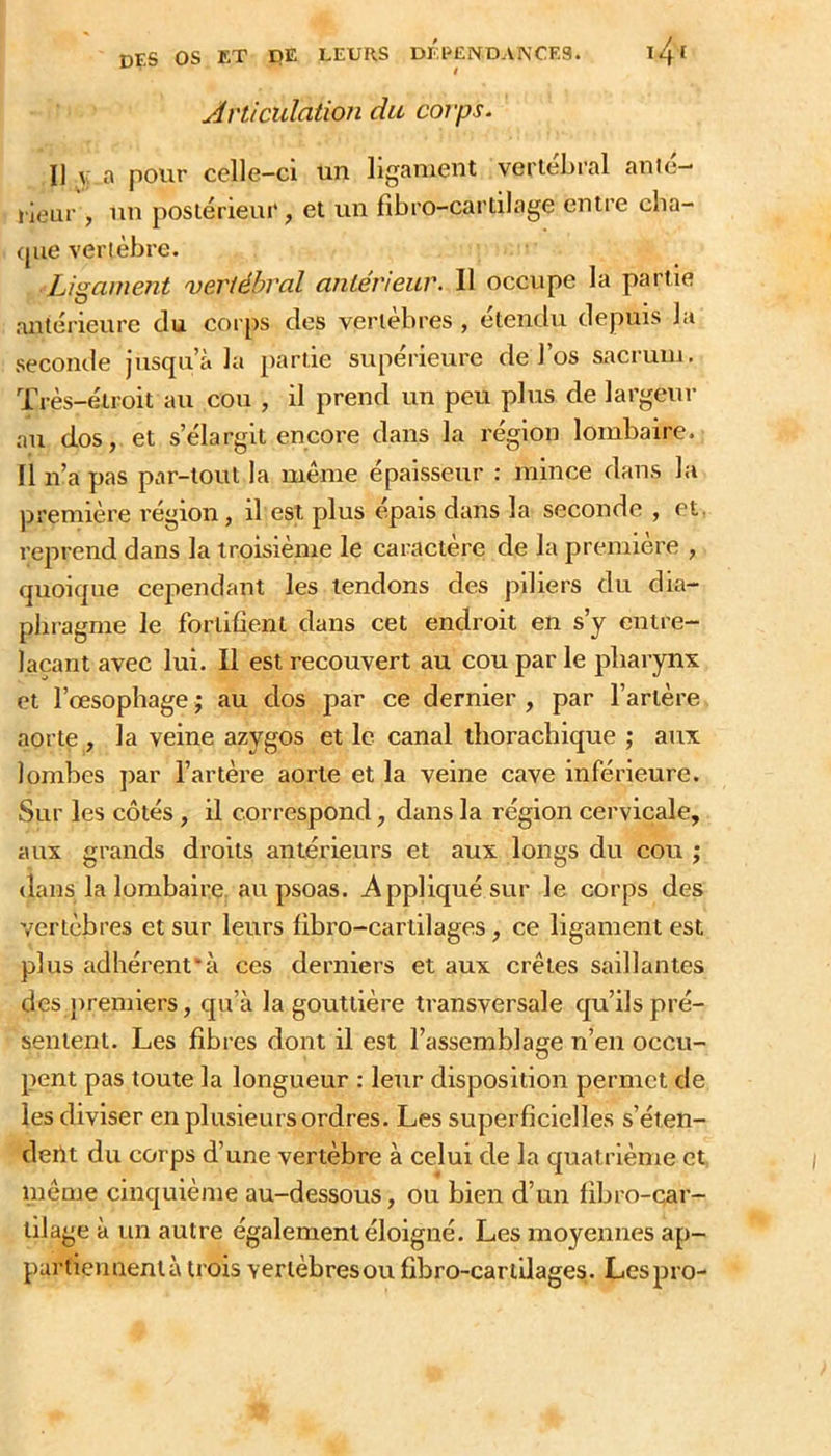 Articulation du corps. Il y: a pour celle-ci un ligament verlébral anié- i'Ieur , un posiérieui*, et un fibro-cartilage entre cba- (pie vertèbre. Ligament vertébral antérieur. Il occupe la partie antérieure du corps des vertèbres , étendu depuis la secomle jusqu’à la partie supérieure de l’os Siicrum. Très-étroit au cou , il prend un peu plus de largeur au dos, et s’élargit encore dans la région lombaire. Il n’a pas par-tout la même épaisseur : mince dans la première région, il est plus épais dans la seconde , et. reprend dans la troisième le caractère de la première , quoique cependant les tendons des piliers du dia- phragme le fortifient dans cet endroit en s’y entre- laçant avec lui. Il est recouvert au cou par le pharynx et l’œsophage ; au dos par ce dernier , par l’artère aorte , la veine azygos et le canal thorachique ; aux lombes ])ar l’artère aorte et la veine cave inférieure. Sur les côtés, il correspond, dans la région cervicale, aux grands droits antérieurs et aux longs du cou ; dans la lombaire, au psoas. Appliqué sur le corps des vertèbres et sur leurs fibro-carlilages, ce ligament est plus adhérent*à ces derniers et aux crêtes saillantes des premiers, qu’à la gouttière transversale qu’ils pré- sentent. Les fibres dont il est l’assemblage n’en occu- pent pas toute la longueur : leur disposition permet de les diviser en plusieurs ordres. Les superficielles s’éten- deiit du corps d’une vertèbre à celui de la quatrième et même cinquième au-dessous, ou bien d’un fibro-car- lilage à un autre également éloigné. Les moyennes ap- purtiennentà trois verlèbresou fibro-carlilages. Lespro-