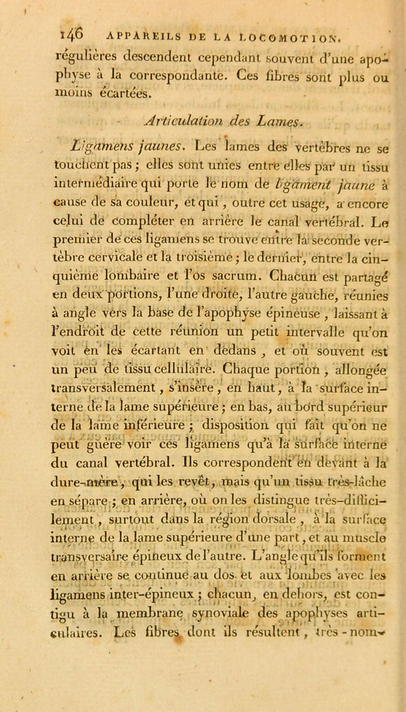 régulières descendent cependant souvent d’une apo- physe à la correspondante. Ces fibres sont plus ou moins écartées. Artieulalion des Lames. Lignmens jaunes. Les lames des vertèbres ne se touciicnt pas ; elles sont unies entre elles pae un tissu intermédiaire qui porte le nom de ligament jaune à cause de sa couleur^ et qui, outre cet usage, a encore celui de compléter en arrière le canal vertébral. Le preiùier de ces ligamens se trouve entre la: seconde ver- tèbre cervicale et la troisième ; le derniei', entre la cin- quième lombaire et l’os sacrum. Chacun est partagé en deux portions, l’une droite, l’autre gauche, réunies à angle vers la base de l’apophyse épinéuse , laissant à l’endroit de cette réünïon un petit intervalle qu’on voit èn' les écartant en dedans , et où souvent est un peu de tissu cellülai'rë. Chaque portion , allongée transversalement, s’insère, en haut, à la surface in- terne de la lame supérieure ; en bas, au bord supérieur de la laine inférieure y disposition qui fait qu’on ne peut guère voir ces ligamens qu’à la sürfaèe interne du canal vertébral. Ils correspondent’ën dëvdnt à la dure-ntjère , qui les revêt, mais qu’un tissu très-làche en sépare ; en arrière, où on les distingue très-dillici- lement, surtout dans la région dorsale , à la surface interne de la lame supérieure d’une part, et au muscle transycrsalr-e épineux de l’autre. L’angle qù’ils forment en arrière se continué au dos-fet aux lombes avec les liganiens inter-épineux j chacun, en dehors, est con- tigu à la membrane synoviale des apophyses arti- ctdaires. Les fibre^ dont ils résultent , très - nonw