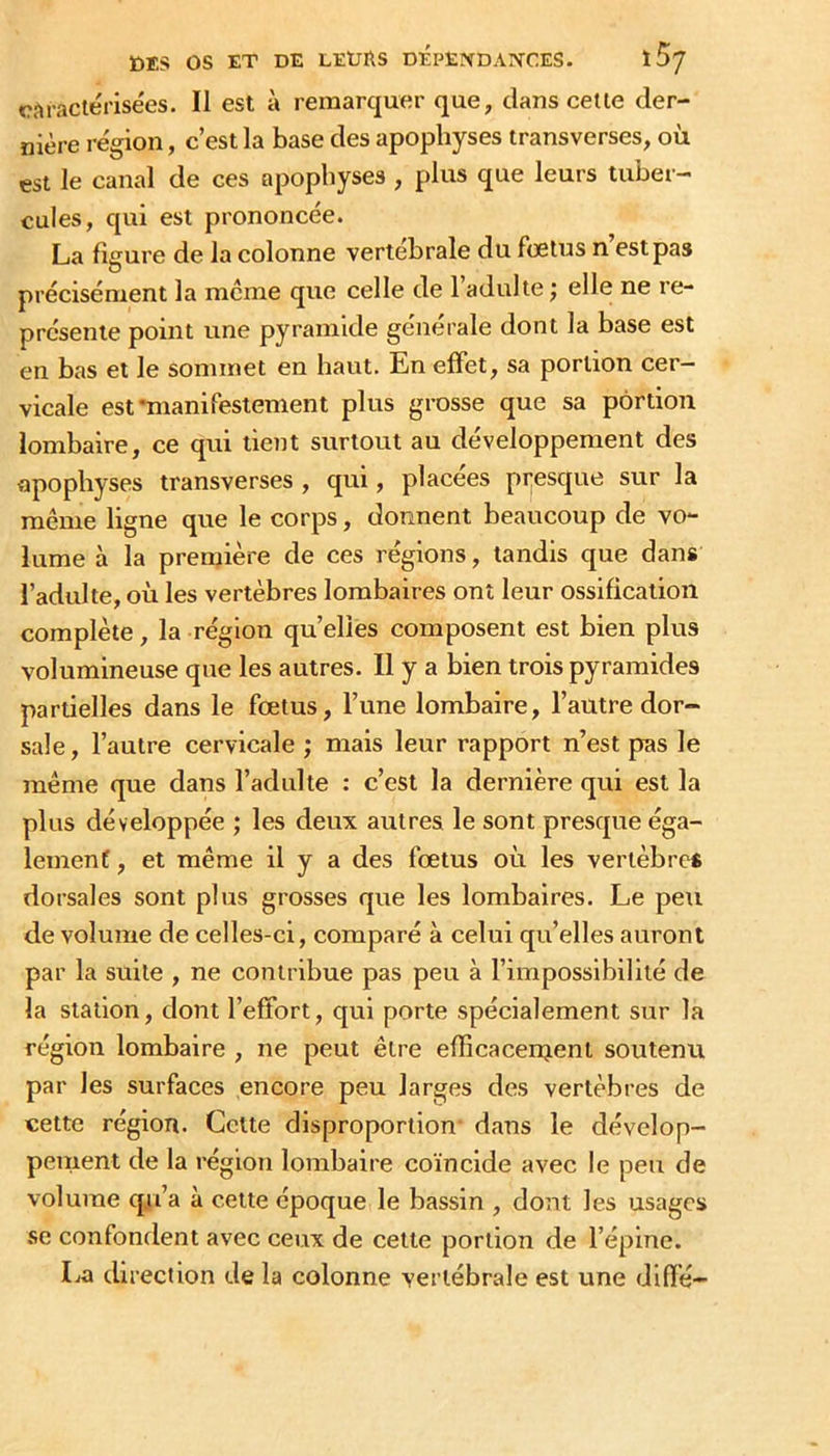 CcT-aclérisées. Il est à remarquer que, clans celle der- nière région, c’est la base des apophyses transverses, où est le canal de ces apophyses , plus que leurs tuber- cules, cjui est prononcée. La figure de la colonne vertébrale du fœtus n’est pas précisément la meme que celle de l’adulte ; elle ne re- présente point une pyramide générale dont la base est en bas et le sommet en haut. En effet, sa portion cer- vicale est •manifestement plus grosse que sa portion lombaire, ce qui tient surtout au développement des apophyses transverses , qui, placées prescjue sur la même ligne que le corps, donnent beaucoup de vo- lume à la première de ces régions, tandis que dans l’adulte, où les vertèbres lombaires ont leur ossification complète, la région qu’elles composent est bien plus volumineuse que les autres. Il y a bien trois pyramides partielles dans le fœtus, l’une lombaire, l’autre dor- sale, l’autre cervicale ; mais leur rapport n’est pas le même que dans l’adulte : c’est la dernière qui est la plus développée ; les deux autres le sont prescjue éga- lement , et même il y a des fœtus où les vertèbre* dorsales sont plus grosses que les lombaires. Le peu de volume de celles-ci, comparé à celui qu’elles auront par la suite , ne contribue pas peu à l’impossibilité de la station, dont l’effort, qui porte spécialement sur la région lombaire , ne peut être efïîcacenjent soutenu par les surfaces encore peu larges des vertèbres de cette région. Celte disproportion- dans le dévelop- pement de la région lombaire coïncide avec le peu de volume qu’a à celle époque le bassin , dont les usages se confondent avec ceux de cette portion de l’épine. La direction de la colonne vertébrale est une difï’é-