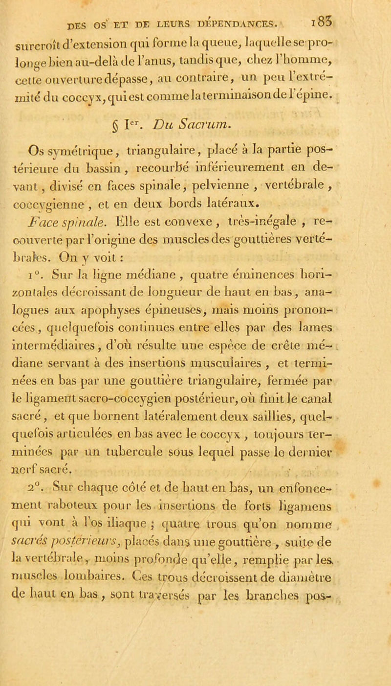 surcroît d’extension qui forme la queue, laquelle se [pro- longe bien au-delà de l’anus, tandis que, chez l’homnie, cette ouverture dépasse, au contraire, un peu 1 extré- mité du coccyx, qui est comme la lernunaison de 1 epine. § P’'. Du Sacrum. Os symétrique, triangulaire, placé à la partie pos- térieure du bassin , recourbé inférieurement en de- vant , divisé en faces spinale, pelvienne , vertébrale , coccvgienne , et en deux bords latéraux. Face spinale. Elle est convexe , très-inégale , re- couverte par l’origine des muscles des gouttières verté- brak’S. On y voit : 1°. Sur la ligne médiane, quatre éminences hori- zontales décroissant de longueur de haut en bas, ana- logues aux apophyses épineuses, mais moins pronon- cées, quelquefois continues entre elles par des lames intermédiaires, d’où résulte une espèce de crête mé- diane servant à des insertions musculaires , et termi- nées en bas par une gouttière triangulaire, fermée par le ligament sacro-coccygien postérieur, où finit le canal sacré, et que bornent latéralement deux saillies, quel- quefois articulées en bas avec le coccyx , toujours ter- minées par un tubercule sous lequel passe le dernier nerf sacré. 2°. Sur chaque côté et de haut en bas, un enfonce- ment raboteux pour les insertions de forts ligamens qui vont à l’os iliaque j quatre trous qu’on nomme sacrés postérieurs, placés dans une gouttière , suite de la vertébrale, moins profonde qu’elle, remplie parles, muscles lombaires. Ces trous décroissent de diamètre de haut en bas, sont traversés par les branches pos-