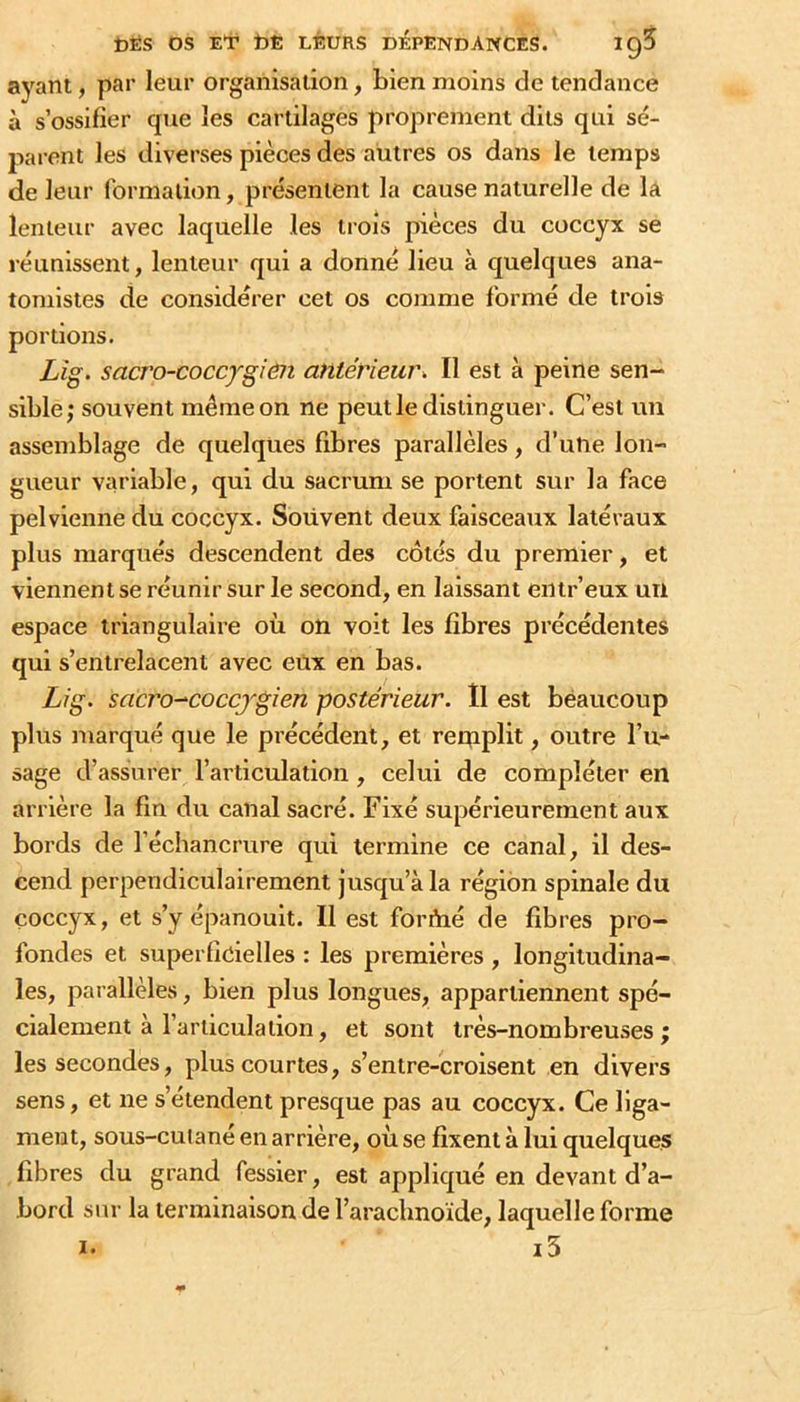 ayant, par leur organisation, bien moins de tendance à s’ossifier que les cartilages proprement dits qui sé- jiarent les diverses pièces des autres os dans le temps de leur formation, présentent la cause naturelle de la lenteur avec laquelle les trois pièces du coccyx se réunissent, lenteur qui a donné lieu à quelques ana- tomistes de considérer cet os comme formé de trois portions. Lîg. sacro-coccygien antérieur^ Il est à peine sen- sible; souvent même on ne peut le distinguer. C’est un assemblage de quelques fibres parallèles, d’uUe lon- gueur variable, qui du sacrum se portent sur la face pelvienne du coccyx. Soüvent deux faisceaux latéraux plus marqués descendent des côtés du premier, et viennent se réunir sur le second, en laissant entr’eux un espace triangulaire où on voit les fibres précédentes qui s’entrelacent avec eux en bas. Lig. sacro^coccj'gien postérieur. Il est beaucoup plus marqué que le précédent, et reqiplit, outre l’u- sage d’assurer l’articulation, celui de compléter en arrière la fin du canal sacré. Fixé supérieurement aux bords de l’échancrure qui termine ce canal, il des- cend perpendiculairement jusqu’à la région spinale du coccyx, et s’y épanouit. Il est forftié de fibres pro- fondes et superficielles : les premières , longitudina- les, parallèles, bien plus longues, appartiennent spé- cialement à l’articulation, et sont très-nombreuses; les secondes, plus courtes, s’entre-croisent en divers sens, et ne s’étendent presque pas au coccyx. Ce liga- ment, sous-cuiané en arrière, où se fixent à lui quelques fibres du grand fessier, est appliqué en devant d’a- bord sur la terminaison de l’arachnoïde, laquelle forme !• i3