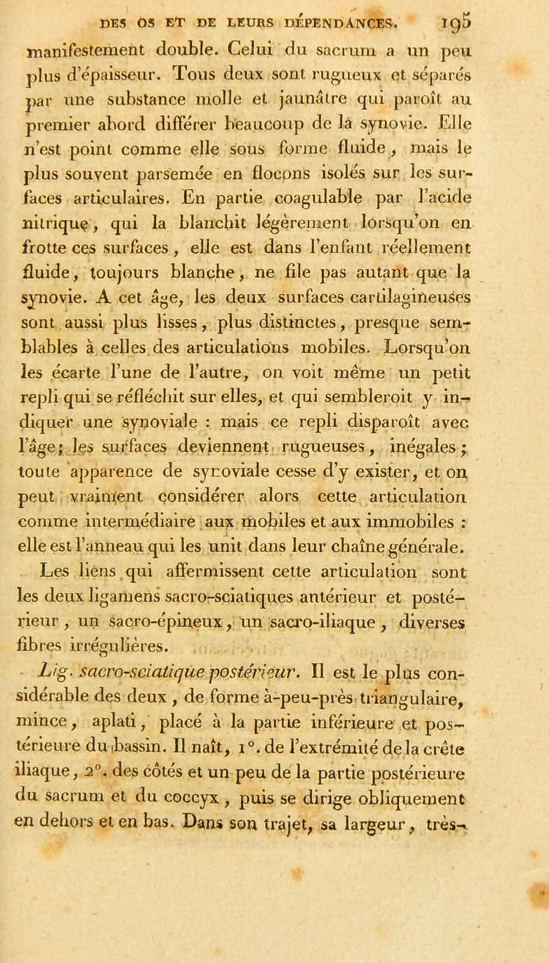 ïDanifestement double. Celui du sacrum a un peu jilus d’épaisseur. Tous deux sont rugueux et séparés j)ar une substance molle et jaunâtre qui paroît au premier abord différer beaucoup de là synovie. Elle n’est point comme elle sous forme fluide, mais le plus souvent parsemée en flocons isolés sur les sui- faces articulaires. En partie coagulable par l’acide nitrique, qui la blanchit légèrement lorsqu’on en frotte ces surfaces, elle est dans l’enfant réellement fluide, toujours blanche, ne file pas autant que la synovie. A cet âge, les deux surfaces cartilagineuses sont aussi plus lisses, plus distinctes, presque sem- blables à celles, des articulations mobiles. Lorsqu’on les écarte l’une de l’autre, on voit même un petit repli qui se réfléchit sur elles, et qui sembleroit y in- diquer une synoviale : mais ce repli disparoît avec l’âge; les surfaces deviennerit rugueuses, inégales; toute apparence de synoviale cesse d’y exister, et on peut vraiment considérer alors cette articulation comme intermédiaire aux mobiles et aux immobiles : elle est l’anneau qui les unit dans leur chaîne générale. Les liens qui affermissent cette articulation sont les deux ligamens sacro-sciatiques antérieur et posté- rieur , un sacro-épineux, un saa'O-iliaque, diverses fibres irrégulières. L/g. sacro-sciatique postérieur. Il est le plus con- sidérable des deux , de forme à-peu-près ti iangulaire, mince, aplati, placé à la partie inférieure et pos- térieure duibassin. Il naît, i°. de l’extrémité delà crête iliaque ,2°. des côtés et un peu de la partie postérieure du sacrum et du coccyx, puis se dirige obliquement en dehors et en bas. Dans son trajet, sa largeur, très-^