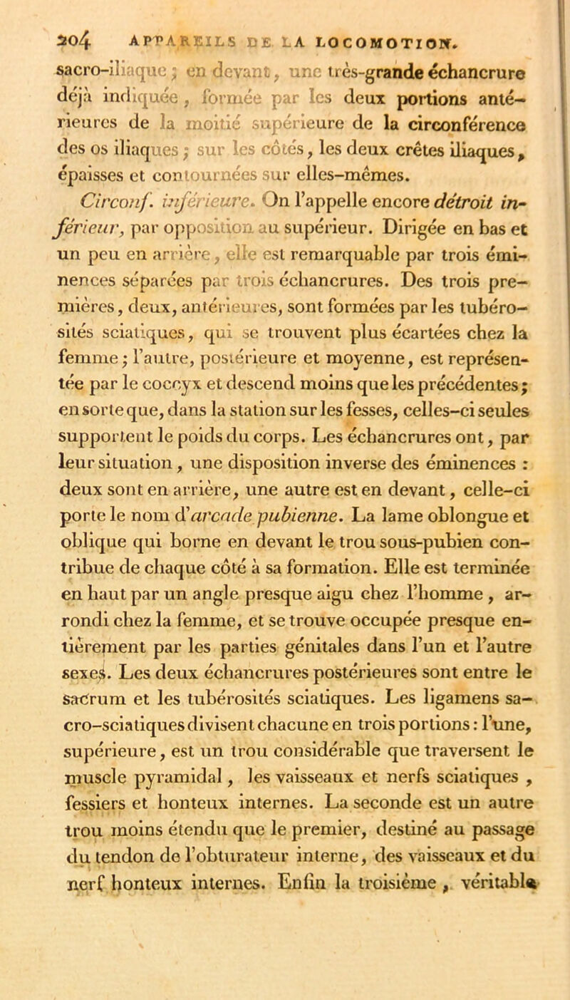 sacro-iliaquo ; en devai-i, une très-grande échancrure déj:\ inrliquée , formée i^nr les deux portions anté- rieures de la moitié supérieure de la circonférence des os iliaques ; sur les côtés, les deux crêtes Iliaques, épaisses et contournées sur elles-mêmes. Circonf. inférieure. On l’appelle encore détroit in- férieur, par opposkicD. au supérieur. Dirigée en bas et un peu en arrière, elle est remarquable par trois émi- nences séparées par trois échancrures. Des trois pre- mières, deux, anféi ieures, sont formées par les tubéro- sités sciatiques, qui se trouvent plus écartées chez la femme l’autre, posiérieure et moyenne, est représen- tée par le coccyx et descend moins que les précédentes ; en sorte que, dans la station sur les fesses, celles-ci seules supportent le poids du corps. Les échancrures ont, par leur situation, une disposition inverse des éminences ; deux sont en arrière, une autre est en devant, celle-ci porte le nom ôüarcade pubienne. La lame oblongue et oblique qui borne en devant le trou sous-pubien con- tribue de chaque côté à sa formation. Elle est terminée en haut par un angle presque aigu chez l’homme , ar- rondi chez la femme, et se trouve occupée presque en- tièrement par les parties génitales dans l’un et l’autre sexe^. Les deux échancrures postérieures sont entre le saCrum et les tubérosités sciatiques. Les ligamens sa- cro-sciatiques divisent chacune en trois portions : l’une, supérieure, est un trou considérable que traversent le muscle pyramidal, les vaisseaux et nerfs sciatiques , fessiers et honteux internes. La seconde est un autre trou moins étendu que le premier, destiné au passage du tendon de l’obturateur interne, des vaisseaux et du nerf honteux internes. Enfin la troisième , véritable