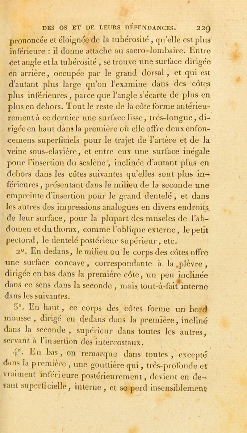 prononcée et éloignée de la lubérosiié, qu’elle est plus inférieure : il donne attache au sacro-lombaire. Entre cet angle et la tubérosité , se trouve une surface dirigée en arrière, occupée par le grand dorsal, et qui est d’autant plus large qu’on l’examine dans des côtes plus inférieures , parce qite l’angle s’écarte de plus en plus en dehors. Tout le reste de la côte forme antérieu- rement à ce dernier une surface lisse, très-longue, di- rigée en haut dans la première où elle offre deuxenfon- ceniens superficiels pour le trajet de l’artère et de la veine sous-clavière, et entre eux. une surface inégale pour l’insertion du scalène , ijiclinée d’autant plus en dehors dans les côtes suivantes qu’elles sont plus in- férieures, présentant dans le milieu de la seconde une empreinte d’insertion pour le grand dentelé, et dans les autres des impressions analogues en divers endroit^ de leur surface, pour la plupart des muscles de l’ab- domen et du thorax, comme l’oblique externe, le petit pectoral, le dentelé postérieur supérieur, etc. 2°. En dedans, le milieu ou le corps des côtes offre une surface concave, correspondante à la .plèvre, dirigée en bas dans la première côte, un peu inclinée dans ce sens dans la seconde, mais tout-à-fait interne dans les suivantes. 5°. En haut, ce corps des côtes forme un bord mousse, dirigé en dedans dans la première, incliné dans la seconde , supéiieur dans toutes les autres, servant a 1 insertion des intercostaux. 4”. En bas, on remarque dans toutes, excepté dans la première , une gouttière qui, très-profonde et vraiment inferieure postérieurement, devient en de- vant superficielle, interne, et se perd insensiblement