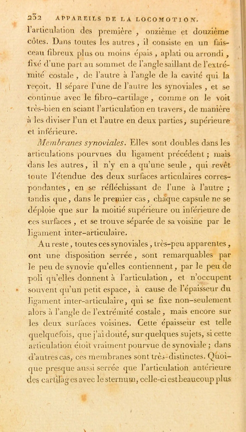 1 articulation des première , onzième et douzième côtes. Dans toutes les autres , il consiste en un fais- ceau fibreux plus ou moins é|)ais , aplati ou anondi , fixé d’une part au sommet de l’angle saillant de l’extré- iniié costale , de l’autre à l’angle de la cavité qui la reçoit. 11 sépare l’une de l’antre les synoviales , et se continue avec le fibro-cartilage , comme on le volt très-bien en sciant l’articulation en travers, de manière à les diviser l’un et l’autre en deux parties, supérieure et inférieure. Membranes synoviales. Elles sont doubles dans les articulations pourvues du ligament précédent ; mais dans les autres, il n’y en a qu’une seule, qui revêt toute l’étendue des deux surfaces articulaires corres- pondantes, en se réfléchissant de l’une à l’autre ; tandis que, dans le premier cas, chaque capsule ne se déploie que sur la moitié supérieure ou inférieure de CCS surfaces , et se trouve séparée de sa voisine par le liga men t inte r-articnlaire. Au reste, toutes ces synoviales, très-peu apparentes, ont une disposition serrée, sont remarquables par le peu de synovie qu’elles contiennent, par le peu de poli qu’elles donnent à l’articulation, et n’occupent souvent qu’un petit espace, à cause de l’épaisseur du ligament inter-articulaire, qui se fixe non-seulement alors à l’angle de l’extrémité costale , mais encore sur les deux surfaces voisines. Cette épaisseur est telle quelquefois, que j’ai douté, sur quelques sujets, si cette articulation élolt vraiment pourvue de synoviale ; dans d’autres cas, ces membranes sont très-distinctes. Quoi- que presque ans.si serrée que l’articulation antérieure des cartilages avec le sternum, celle-ci estbeaucoup plus