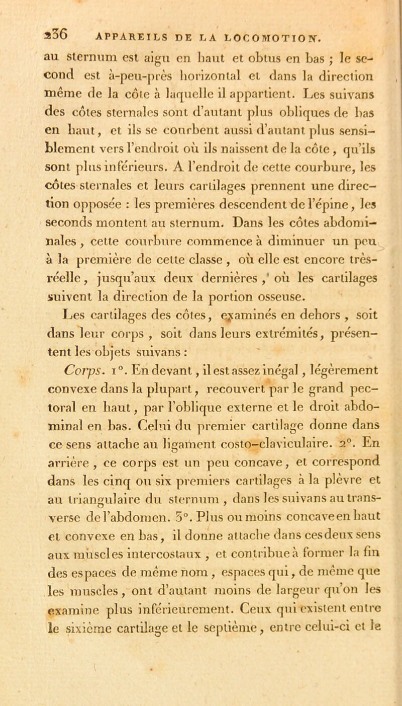 s56 APPAREILS DE LA L O C O MO TIO W. au siernum est aigu en liant et obtus en bas ; le se- cond est à-peu-près horizontal et dans la direction même de la côte à laquelle il appartient. Les suivans des côtes sternales sont d’autant plus obliques de bas en haut, et ils se courbent aussi d’autant plus sensi- blement vers l’endroit où ils naissent de la côte, qu’ils sont plus inférieurs. A l’endroit de cette courbure, les côtes sternales et leurs cartilages prennent une direc- tion opposée : les premières descendent de l’épine, les seconds montent au sternum. Dans les côtes abdomi- nales , cette courbure commence à diminuer un peu à la première de celle classe , où elle est encore très- réelle , jusqu’aux deux dernières ,' où les cartilages suivent la direction de la portion osseuse. Les cartilages des côtes, examinés en dehors , soit dans leur corps , soit dans leurs extrémités, présen- tent les objets suivans : Coiys. I °. En devant, il est assez Inégal, légèrement convexe dans la plupart, recouvert par le grand pec- toral en haut, par l’oblique externe et le droit abdo- minal en bas. Celui du premier cartilage donne dans ce sens attache au ligament costo-claviculaire. 2°. En arrière , ce corps est un peu concave, et correspond dans les cinq ou six premiers cartilages à la plèvre et au triangulaire du sternum, dans les suivans au trans- verse de l’abdomen. 5°. Plus ou moins concaveenbaut et convexe en bas, il donne attache dans ces deux sens aux muscles intercostaux , et contribue à former la fin des espaces de même nom , espaces qui, de même que les muscles, ont d’autant moins de largeur qu’on les examine plus inférieurement. Ceux qui existent entre le sixième cartilage et le septième, entre celui-ci et le