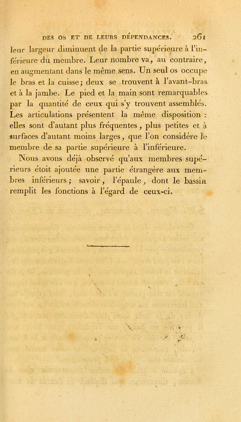 leur largeur .diminuent de la partie supérieure à l’in- férieure du membre. Leur nombre va, au contraire, en augmentant dans le même sens. Un seul os occupe le bras et la cuisse; deux se trouvent à l’avant-bras, et à la jambe. Le pied et la main sont remarquables par la quantité de ceux qui s’y trouvent assemblés. Les articulations présentent la même disposition : elles sont d’autant plus fréquentes, plus petites et à surfaces d’autant moins larges, que l’on considère l'e membre de sa partie supérieure à l’inférieure. Nous avons déjà observé qu’aux membres supé- rieurs étoit ajoutée une partie étrangère aux mem- bres inférieurs; savoir, l’épaule, dont le bassin remplit les fonctions à l’égard de ceux-ci.