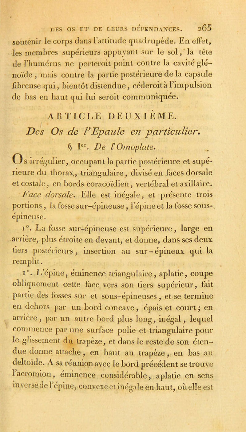 soutenir le corps clans raililiicle quadrupède. En effet, les membres supérieurs appuyant sur le sol, la tête de rimmérus ne porteroit point contre la cavité glé- noïde , mais contre la partie postérieure de la capsule fibreuse qui, bientôt distendue, céderoità l’impulsion de bas en haut qui lui seroit communiquée. ARTICLE DEUXIÈME. Des Os de VEpaule en particulier. § P’^. De ï Omoplate. Os irrégulier, occupant la partie postérieure et supé- rieure du thorax,, triangulaire, divisé en faces dorsale et costale, en bords coracoïdien, vertébral et axillaire. Face dorsale. Elle est inégale, et présente trois portions, la fosse sur-épineuse, l’épine et la fosse sous- épineuse. 1°. La fosse sur-épineuse est supérieure, large en arrière, plus étroite en devant, et donne, dans ses deux tiers postéi'ieurs, insertion au sur - épineux qui la remplit. 1°. L’épine, éminence triangulaire, aplatie, coupe obliquement celle face vers son tiers supérieur, fait partie des fosses sur et sous-épineuses, et se termine en dehors par un bord concave, épais et court ; en arriéré, par un autre bord plus long, inégal, lequel commence par une surface polie et triangulaire pour le glissement du trapèze, et dans le reste cle son éten- due donne attache, en haut au trapèze, en bas au deltoïde. A sa réunion avec le bord précédent se trouve lacromion, éminence considérable, aplatie en sens inverse de l’épine, convexe ci inégale en haut, où elle est