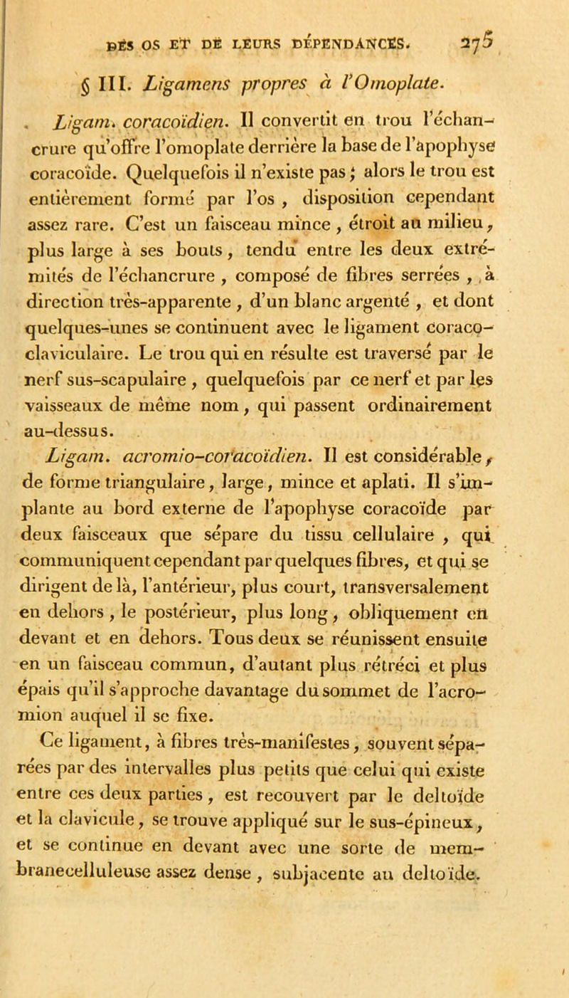 § III. Ligamens propres à VOmoplate. . Liganié coracoïdien. Il converlit en trou l’échan- crure qu’offre l’omoplate derrière la base de l’apophyse coracoïde. Quelquefois il n’existe pas J alors le trou est entièrement formé par l’os , disposition cependant assez rare. C’est un faisceau mince , étroit au milieu, plus large à ses bouts, tendu entre les deux extré- mités de l’écliancrure , composé de fibres serrées ,, à direction très-apparente , d’un blanc argenté , et dont quelques-unes se continuent avec le ligament coraco- claviculalre. Le trou qui en résulte est traversé par le nerf sus-scapulaire , quelquefois par ce nerf et par les vaisseaux de même nom, qui passent ordinairement au-dessus. Ligam. acromio-cofacoïdien. Il est considérable de forme triangulaire, large, mince et aplati. Il s’im- plante au bord externe de l’apophyse coracoïde pac deux faisceaux que sépare du tissu cellulaire , qui communiquent cependant par quelques fibres, et qui se dirigent delà, l’antérieur, plus coui t, transversalement en dehors , le postérieur, plus long, obliquement cti devant et en dehors. Tous deux se réunissent ensuite en un faisceau commun, d’autant plus rétréci et plus épais qu’il s’approche davantage du sommet de l’acro- mlon auquel il se fixe. Ce ligament, à fibres très-manifestes, souvent sépa- rées par des intervalles plus petits que celui qui existe entre ces deux parties , est recouvert par le deltoïde et la clavicule, se trouve appliqué sur le sus-épineux, et se continue en devant avec une sorte de mem- branecelluleuse assez dense , subjacentc au deltoïde.