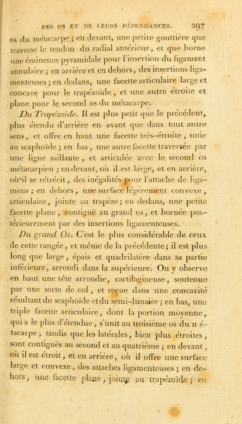 OS du métacarpe ; en devant, une petite gouttière que traverse le tendon du radial antérieur, et que borne une éminence pyramidale pour l’insertion du ligament annulaire ; en arrière et en dehors, des insertions liga- menteuses ; en dedans, une facette articulaire large et concave pour le trapézoïde , et une autre étroite et plane pour le second os du métacarpe. Du Tmpézoïde. 11 est plus petit que le précédent, plus étendu d’arrière en avant que dans tout autre sens, et olfre en haut une facette très-étroite , unie au scaphoïde ; en bas , une autre faci'.tte traversée par une ligne saillante , et articvdée avec le second os métacarpien ; en devant, où il est large, et en arrière, où'il se rétrécit, des inégalités pour l’attache de ligai- mens ; en dehors , une surface légèrement convexe , articulaire, jointe au trapèze ; en dedans, une petite facette plane , contiguë au grand os, et bornée pos- térieurement par des insertions ligamenteuses. Du grand Os. C’est le plus considérable de ceux de cette rangée, et même de la précédente ; il est plus long que large, épais et quadrilatère dans sa partie inférieure, arrondi dans la supérieure. On y observe en haut une tête arrondie, cartilagineuse, soutenue par une sorte de col, et reçue dans line concavité résultant du scaphoïde etdu semi-lunaire ; en bas, une triple facette articulaire, dont la portion moyenne, qui a le plus d’étendue, s’unit au troisième os du n é- tacarpe , tandis que les latérales, bien plus étroites, sont contiguës au second et au quatrième ; en devant, où il est étroit, et en arriéré, où il offre une surface large et convexe, des attaches ligamenteuses ; en de- hors , une facette plane, joinl^p au trapézoïde ; en