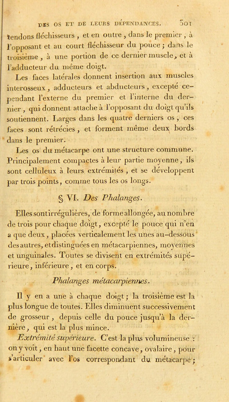 lendons fléchisseurs , et en outre , dans le prenilcr , à l’opposant et an court fléchisseur du pouce ; dans le troisième , à une portion de ce dernier muscle^ et à l’adducteur du même doigt. Les faces latérales donnent insertion aux muscles interosseux, adducteurs et ahducteuis , excepté ce- j)endant l’externe du premier et l’interne du der- nier , qui donnent attaclie à l’opposant du doigt qu’ils soutiennent. Larges dans les quatre derniers os , ces faces sont rétrécies , et forment même deux bords dans le premier. Les os du métacarpe ont une structure commune. Principalement compactes à leur partie moyenne, ils sont celluleux à leurs extrémités , et se développent par trois points, coname tous les os longs. § VI. Des Phalanges. Elles sontirrégulières, de forme allongée, au nombre de trois pour chaque doigt, excepté le pouce qui n’en a que deux, placées verticalement les unes au-dessOus des autres, et distinguées en métacarpiennes, moyennes et unguinales. Toutes se divisent en extrémités supé- rieure, inférieure, et en corps. Phalanges métacarpiennes. Il y en a une à chaque dengt ; la troisième est la plus longue de toutes. Elles diminuent successivement de grosseur, depuis celle du pouce jusqu’à la der- nière, qui est la plus mince. Extrémité supérieure. C’est la plus volumineuse ; on y voit, en haut une facette concave, ovalaire, pour s’articuler avec l’os correspondant du métacarpe ;