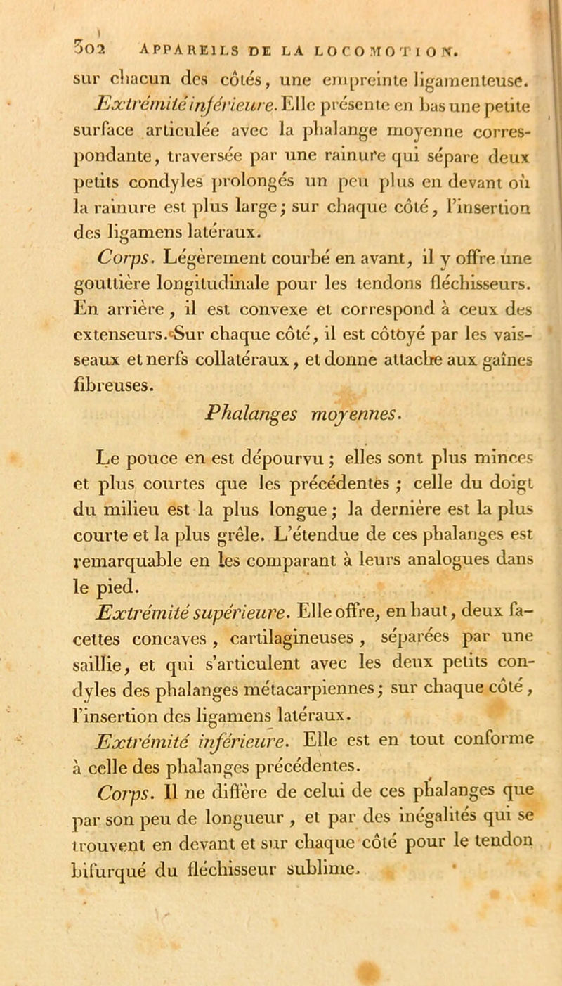 sur diacun des côtés, une empreinte ligamenteuse. lixtrérniiéinjévieure. Elle présente en bas une petite surface articulée avec la phalange moyenne corres- pondante , traversée par une rainuCe qui sépare deux petits condyles prolongés un peu plus en devant où la rainure est plus large; sur chaque côté, rinsertion des ligamens latéraux. Corps^ Légèrement courhé en avant, il y offre une gouttière longitudinale pour les tendons fléchisseurs. En arrière , il est convexe et correspond à ceux des extenseurs.<5ur chaque côté, il est côtoyé par les vais- seaux et nerfs collatéraux, et donne attaclie aux gaines fibreuses. Phalanges moyennes. Le pouce en est dépourvu ; elles sont plus minces et plus courtes que les précédentès ; celle du doigt du milieu est la plus longue ; la dernière est la plus courte et la plus grêle. L’étendue de ces phalanges est remarquable en les comparant à leurs analogues dans le pied. Extrémité supérieure. Elle offre, en haut, deux fa- cettes concaves , cartilagineuses , séparées par une saillie, et qui s’articulent avec les deux petits con- dyles des phalanges métacarpiennes ; sur chaque cote, l’insertion des ligamens latéraux. Extrémité inférieure. Elle est en tout conforme à celle des phalanges précédentes. Corps. 11 ne diflère de celui de ces phalanges que par son peu de longueur , et par des inégalités qui se trouvent en devant et sur chaque côté pour le tendon bifurqué du fléchisseur sublime.