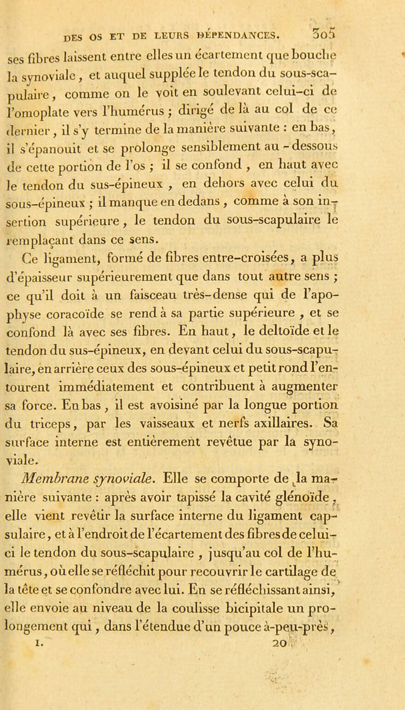 ses fibres laissent entre elles un écartement quebouebe la synoviale, et auquel supplée le tendon du sous-sca- pulaii e, comme on le volt en soulevant celui-ci de l’omoplate vers l’humérus ; dirigé de là au col de ce dernier, il s’y termine de la manière suivante : en bas, il s’épanouit et se prolonge sensiblement au - dessous de cette portion de l’os ; il se confond , en haut avec le tendon du sus-épineux , en dehors avec celui du sous-épineux ; il manque en dedans, comme à son iiir sertlon supérieure, le tendon du sous-scapulaire le remplaçant dans ce sens. Ce ligament, formé de fibres entre-croisées, a plus d’épaisseur supérieurement que dans tout autre sens ; ce qu’il doit à un faisceau très-dense qui de l’apo- physe coracoïde se rend à sa partie supérieure , et se confond là avec ses fibres. En haut, le deltoïde elle tendon du sus-épineux, en devant celui du sous-scapu-r laire, en arrière ceux des sous-épineux et petit rond l’en- tourent immédiatement et contribuent à augmenter sa force. En bas , il est avoisiné par la longue portion du triceps, par les vaisseaux et nerfs axillaires. Sa surface interne est entièrement revêtue par la syno- viale. Membrane synoviale. Elle se comporte de ^la ma- nière suivante : après avoir tapissé la cavité glénoïde, elle vient revêtir la surface interne du ligament cap- sulaire , et à l’endroit de l’écartement des fibres de celui- ci le tendon du sous-scapulaire , jusqu’au col de l’hu- mérus, oùelle se réfléchit pour recouvrir le cartilage de la tête et se confondre avec lui. En se réfléchissant ainsi, elle envoie au niveau de la coulisse bicipitale un pro- longement qui, dans l’étendue d’un pouce à-peu-prèii, I. 20.