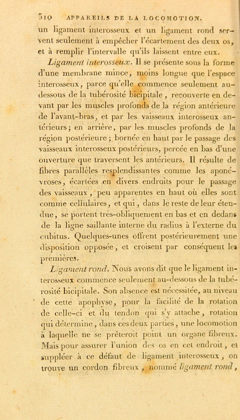 un ligameni iiiierosseux et. un ligament rond ser- vent seulement à empêcher l’écartement des deux os, et à remplir l’intervalle cpi’ils laissent entre eux. Ligameni inlerosseux. 11 se présente sons la forme d’une membrane mince, moins longue que l’espace interosseux, parce cju’elle commence seulement au- dessous de la tubérosité bicipitale , recouverte en de- vant par les muscles jirolbnds de la région antérieure de l’avanl-bras, et par les vaisseaux interosseux an- térieurs j en arrière, par les muscles profonds de la région postérieure ; bornée en haut par le passage des vaisseaux interosseux postérieurs, percée en bas d’une ouverture que traversent les antérieurs. Il résulte de libres parallèles resplendissantes comme les aponé- vroses, écartées en divers endroits pour le passage des vaisseaux , peu apparentes en haut où elles sont comme cellulaires, et qui, dans le reste de leur éten- due, se portent très-obliquement en bas et en dedans de la ligne saillante interne du radius à l’externe du cubitus. Quelques-unes offrent postérieurement une disposition opposée, et croisent par conséquent les premières. Ligament rond. Nous avons dit que le ligament in- terosseux commence seulement au-dessous de la tubé- rosité bicipitale. Son absence est nécessitée, au niveau de cette apophyse, pour la facilité de la rotation de celle-ci et du tendon qui s’y attache, rotation qui détermine, dans ces deux parties, une locomotion à laquelle ne se prêteroit point un organe libi'eux. Mais pour assurer l’iinlon des os en cci endroit, et suppléer ii ce défaut de ligament inlerosseux, on trouve un cordon fdn eux , nommé ligament rond,
