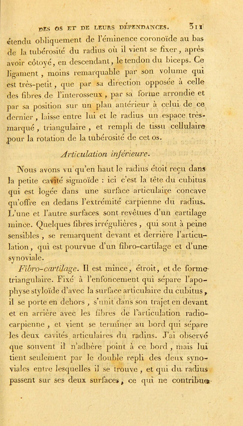 Giendu ol)liquement de 1 eminence coronoïdc au bas de ]a tubérosité du radius où il vient se fixer, après avoir côtoyé, en descendant, le tendon du biceps. Ce ligament , moins remarquable par son volume qui est très-petit, que par sa direction opposée a celle des fibres de finterosseux , par sa fortne arrondie et par sa position sur un plan antérieur à celui de ce dernier , laisse entre lui et le radius un espace très- marqué , triangulaire , et reni[)li de tissu cellulaire pour la rotation de la tubérosité de cet os. Articulation injérieure. Nous avons vu'qu’en haut le radius éloit reçu dans la petite cavité sigmoïde : ici c’est la tête du cubitus qui est logée dans une surface articulaire concave qu’offre en dedans l’extrémité carpienne du radius. L’une et l’autre surfaces sont revêtues d’un cartilage mince. Quelques fibres irrégulières , qui sont à peine sensibles , se remarquent devant et derrière l’articu- lation , qui est pourvue d’un fibro-cartilage et d’une synoviale. Fibro-cartilage. Il est mince, étroit, et de forme- triangulaire. Fixé à l’enfoncement qui sépare l’apo- physe styloïde d’avec la surface articulaire du cubitus , il se porte en dehors , s’unit dans son trajet en devant et en arrière avec les fibres de rarticulalioii radio- carpienne , et vient se terminer au bord qui sépare les deux cavités articulaires du radius. J’ai observe que souvent il n’adhère point à ce bord , mais lui lient seulement par le double repli des deux syno- viales entre lesquelles il se trouve , et qui du radius passent sur ses deux surfaces, ce qui ne contribuai