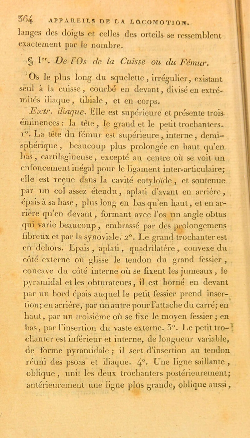 langes des doigts et celles des orteils se ressemblent exactement par le nombre. § I. De rOs de la Cuisse ou du Fémur, ^Os le plus long du squelette, irrégulier, existant seul à la cuisse, courbe en devant, divisé en extré- mités iliaque, tibiale, et en corps. Eoctr. iliaque. Elle est supérieure et présente trois eminences : la tête , le grand et le petit trochanters. 1°. La tête du fémur est supérieure, interne, demi- sphérique , beaucoup plus prolongée en haut qu’en bas, cartilagineuse, excepté au centre où se voit un enfoncement inégal pour le ligament inter-articulairej elle est reçue dans la cavité coiyloïde, et soutenue par un col assez étendu, aplati d’avant en arrière, épais a sa base, plus long en bas qu’en haut, et en ar- riéré qu’en devant, formant avec l’os un angle obtus f(ui varie beaucoup, embrassé par des prolongemens fibreux et par la synoviale.'2°. Le grand trochanter est en dehors. Epais, aplati, quadrilatère, convexe du côté externe où glisse le tendon du grand fessier , concave du côté interne où se fixent les jumeaux, le pyramidal et les obturateurs, il est borné en devant ])ar un bord épais auquel le petit fessier prend inser- tion ; en arrière, par un autre pour l’attache du carré; en haut, par un troisième où se fixe le moyen fessier ; en bas, par l’insertion du vaste externe. 5°. Le petit tro- chanter est inférieur et interne, de longueur variable, de forme pyramidale ; il sert d’insertion au tendon réuni des psoas et iliaque. 4°. Une ligne saillante , oblique, unit les deux trochanters postéiieurement; antérieurement une ligne plûs grande, oblique aussi,