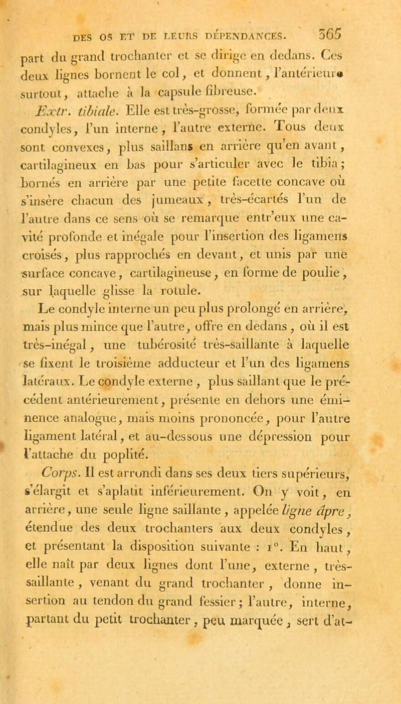 part du grand trochanlcr et sc dirige en dedans. Ces deux lignes bornent le col, et donnent, raniérieur»* surtout, attache à la capsule fibreuse. Extr. tibiale. Elle est très-grosse, formée par deux condyles, l’un interne, l’autre externe. Tous deux sont convexes, plus saillans en arriéré qu’en avant, cartilagineux en bas pour s’articuler avec le tdjia ; bornés en an’ière par une petite lacette concave ou s’insère chacun des jumeaux, très-écartés l’un de l’autre dans ce sens où se remarque entr’eux une ca- vité profonde et inégale pour l’insertion des ligamens croisés, plus rapprochés en devant, et unis par une surface concave, cartilagineuse, en forme de poulie, sur laquelle glisse la rotule. Le condyle interne un peu plus prolongé en arrière, mais plus mince que l’autre, offre en dedans , où il est très-inégal, une tubérosité très-saillante à laquelle se fixent le troisième adducteur et l’un des ligamens latéraux. Le condyle externe , plus saillant que le pré- cédent antérieurement, présente en dehors une émi- nence analogue, mais moins prononcée, pour l’autre ligament latéral, et au-dessous une dépression pour l’attache du poplité. Corps. Il est arrondi dans ses deux tiers supérieurs, s’élargit et s’aplatit inférieurement. On y voit, en arrière, une seule ligne saillante, appelée//g«e âpre^ étendue des deux trochanters aux deux condyles , et présentant la disposition suivante : i°. En haut, elle naît par deux lignes dont l’une, externe, très- saillante , venant du grand trochanter , donne in- sertion au tendon du grand fessier; l’autre, interne, partant du petit trochanter, peu marquée , sert d’at-
