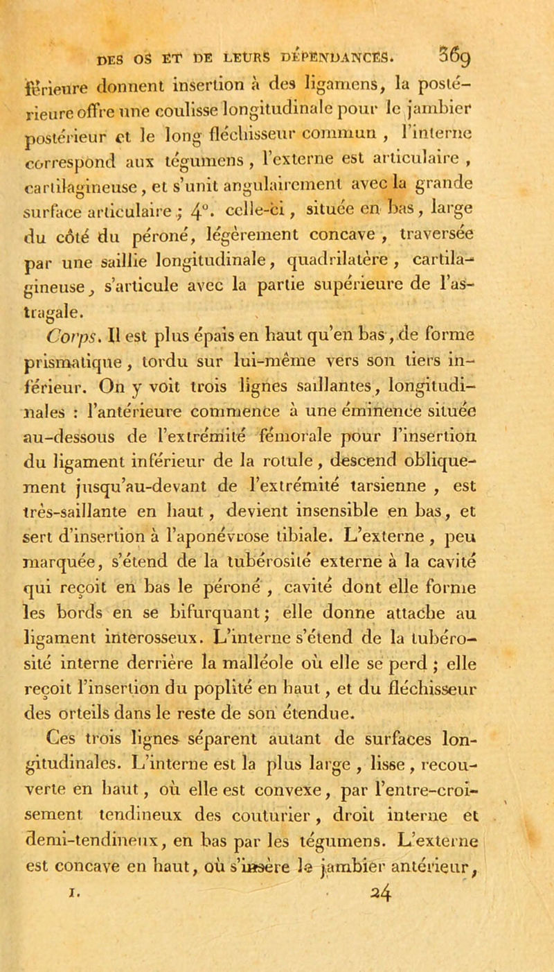 ferleure donnent insertion à des ligamens, la posté- rieure offre une coulisse longitudinale pour le jambier postérieur et le long flécliisseur commun , l’interne correspond aux tégumens , l’externe est artieulaire , cartilagineuse, et s’unit angidairemenl avec la grande surface articulaire,; 4°* celle-ci, située en bas, large du côté du péroné, légèrement concave , traversée par une saillie longitudinale, quadrilatère, cartila- gineuse , s’articule avec la partie supérieure de l’as- tfiigale. Corps. Il est plus épais en haut qu’en bas, de forme prismatique, tordu sur lui-même vers son tiers in- lérieur. On y voit trois lignes sadlantes, longitudi- nales : l’antérieure commence à une éminence située au-dessous de l’extrémité fémorale pour l’insertion du ligament inférieur de la rotule, descend oblique- ment jusqu’au-devant de l’extrémité tarsienne , est très-saillante en haut, devient insensible en bas, et sert d’insertion à l’aponévrose tibiale. L’externe , peu marquée, s’étend de la tubérosité externe à la cavité qui reçoit en bas le péroné , cavité dont elle forme les bords en se bifurquant ; elle donne attache au ligament interosseux. L’interne s’étend de la tubéro- sité interne derrière la malléole où elle sé perd j elle reçoit l’insertion du poplité en haut, et du fléchisseur des orteils dans le reste de soii étendue. Ces trois lignes séparent autant de surfaces lon- gitudinales. L’interne est la plus large , lisse, recou- verte en haut, où elle est convexe, par l’entre-croi- seraent tendineux des couturier, droit interne et demi-tendineux, en bas par les tégumens. L’externe est concave en haut, où s’insère le jambier antérieur, 24 I.