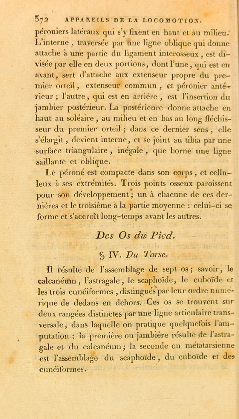 pé roniers latéraux qui s’y fixent en liant et au milieu; I./interne , traversée par une ligne oblique qui donne attache à une partie du ligament interosseux, est di- , visée par elle en deux portions, dont l’une, qui est en avant, sert d’attache aux extenseur propre du pre- mier orteil, extenseur commun , cl péronier anté-*- rieur ; l’autre, qui est en arrière , est l’inseition du jamhier postérieur. La postérieure donne attache en haut au soléaire, au milieu et en bas a\i long fléchis- seur du premieC orteil ; dans ce dernier sens, elle s’élargit, devient interne, et se joint au tibia par une surface triangulaire , inégale , que home une ligne saillante et oblique. Lè péroné est compacte dans son corps, et cellu- leux à ses extrémités. Trois points osseux paroissent pour son développement ; un à chacune de ces der- nières et le troisième à la partie moyenne ; celui-ci se forme et s’accroît long-temps avant les autres. Des Os du Pied. i § IV. Du Tarse. Il résulte de l’assemblage de sept os ; savoir, le calcanéuni, l’astragale, le scaphoïde, le cuboïde et les trois cunéiformes , distingués par leur ordre numé- rique de dedans en dehors. Ces os se trouvent sur deux rangées distinctes par une ligne articulaire trans- versale, dans laquelle on pratique quelquefois l’am- putation ; la première ou jambière resuite de 1 astra- gale et du calcanéum; la seconde ou métatarsienne est l’assemblage du scaphoïde, du cuboïde et des cunéiformes.