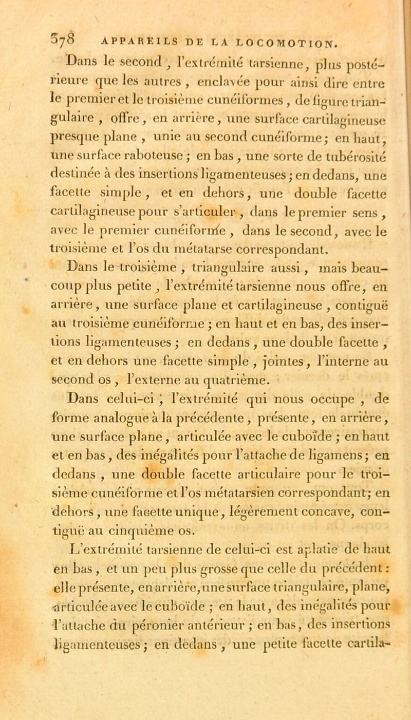 Dans le second^ rextrétnilé tarsienne, plus posté- rieure que les autres , enclavée pour ainsi dire entre le premier et le troisième cunéiformes, de ligure trian- gulaire , offre, en arrière, une surface cartilagineuse presque plane , unie au second cunéiforme; en haut, une surface raboteuse ; en bas , une sorte de tubérosité destinée à des insertions ligamenteuses ; en dedans, une facette simple, et en dehors, une double facette cartilagineuse pour s’articuler, dans le premier sens, avec le premier cunéifornfe , dans le second, avec le troisième et l’os du métatarse correspondant. Dans le troisième , triangulaire aussi, mais beau- coup plus petite, l’extrémité tarsienne nous offre, en arrière, une surface plane et cartilagineuse , contiguë au troisième cunéiforme ; en haut et en bas, des inser- tions ligamenteuses ; en dedans , une double facette , et en dehors une facette simple , jointes, l’interne au second os , l’externe au quatrième. Dans celui-ci i l’extrémité qui nous occupe , de forme analogue à la précédente , présente, en arrière, une surface plane, articulée avec le cuboïde ; en haut et en bas, des inégalités pour l’attache de ligamens; en dedans , une double facette articulaire pour le troi- sième cunéiforme et l’os métatarsien correspondant; en dehors, une facette unique, légèrement concave, con- tiguë au cinquième os. L’extrémité tarsienne de celui-ci est aplatie de haut en bas , et un peu plus grosse que celle du précédent : elle présente, en arrière, une surface triangulaire, plane, •articulée avec le cuboïde ; en haut, des inégalités pour l’attache du péronier antérieur ; en bas, des insertions ligamenteuses; en dedans, une petite facette carlila-