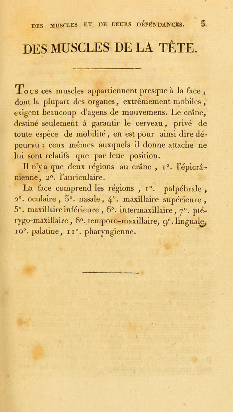 DES MUSCLES DE LA TÊTE. Tous ces muscles appartiennent presque à la face , dont la plupart des organes, extrêmement mobiles , exigent beaucoup d’agens de mouvemens. Le crâne, destiné seulement à garantir le cerveau, privé de toute espèce de mobilité , en est pour ainsi dire dé- pourvu : ceux mêmes auxquels il donne attache ne lui sont relatifs que par leur position. Il n’y a que deux régions au crâne , i°. l’épicrâ- nienne, 20. l’auriculaire. La face comprend les régions , i°. palpébrale , 20. oculaire, 3°. nasale, 4°- maxillaire supérieure, 5°. maxillaire inférieure , 6°. intermaxillaire, y°. plé- rygo-maxillaire, 8°. lemporo-maxillaire, 90. linguale, io°. palatine, ii°. pharyngienne.