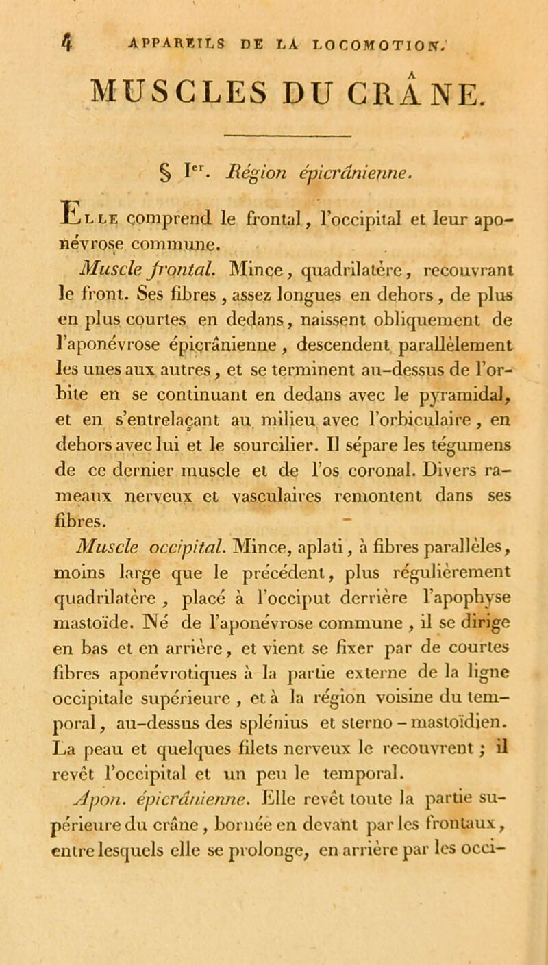 MUSCLES DU CRÂNE. § Ier. Région épicranienne. Elle comprend le frontal, l’occipital et leur apo- névrose commune. Muscle Jrontal. Mince, quadrilatère, recouvrant le front. Ses fibres , assez longues en dehors, de plus en plus courtes en dedans, naissent obliquement de l’aponévrose épicranienne , descendent parallèlement les unes aux autres, et se terminent au-dessus de l’or- bite en se continuant en dedans avec le pyramidal, et en s’entrelaçant au milieu avec l’orbiculaire , en dehors avec lui et le sourcilier. Il sépare les tégumens de ce dernier muscle et de l’os coronal. Divers ra- meaux nerveux et vasculaires remontent dans ses fibres. Muscle occipital. Mince, aplati, à fibres parallèles, moins large que le précédent, plus régulièrement quadrilatère , placé à l’occiput derrière l’apophyse mastoïde. Né de l’aponévrose commune , il se dirige en bas et en arrière, et vient se fixer par de courtes fibres aponévrotiques à la partie externe de la ligne occipitale supérieure , et à la région voisine du tem- poral, au-dessus des splénius et sterno - mastoïdien. La peau et quelques filets nerveux le recouvrent ; il revêt l’occipital et un peu le temporal. Apon. épicranienne. Elle revêt toute la partie su- périeure du crâne, bornée en devant par les frontaux, entre lesquels elle se prolonge, en arrière par les occx-