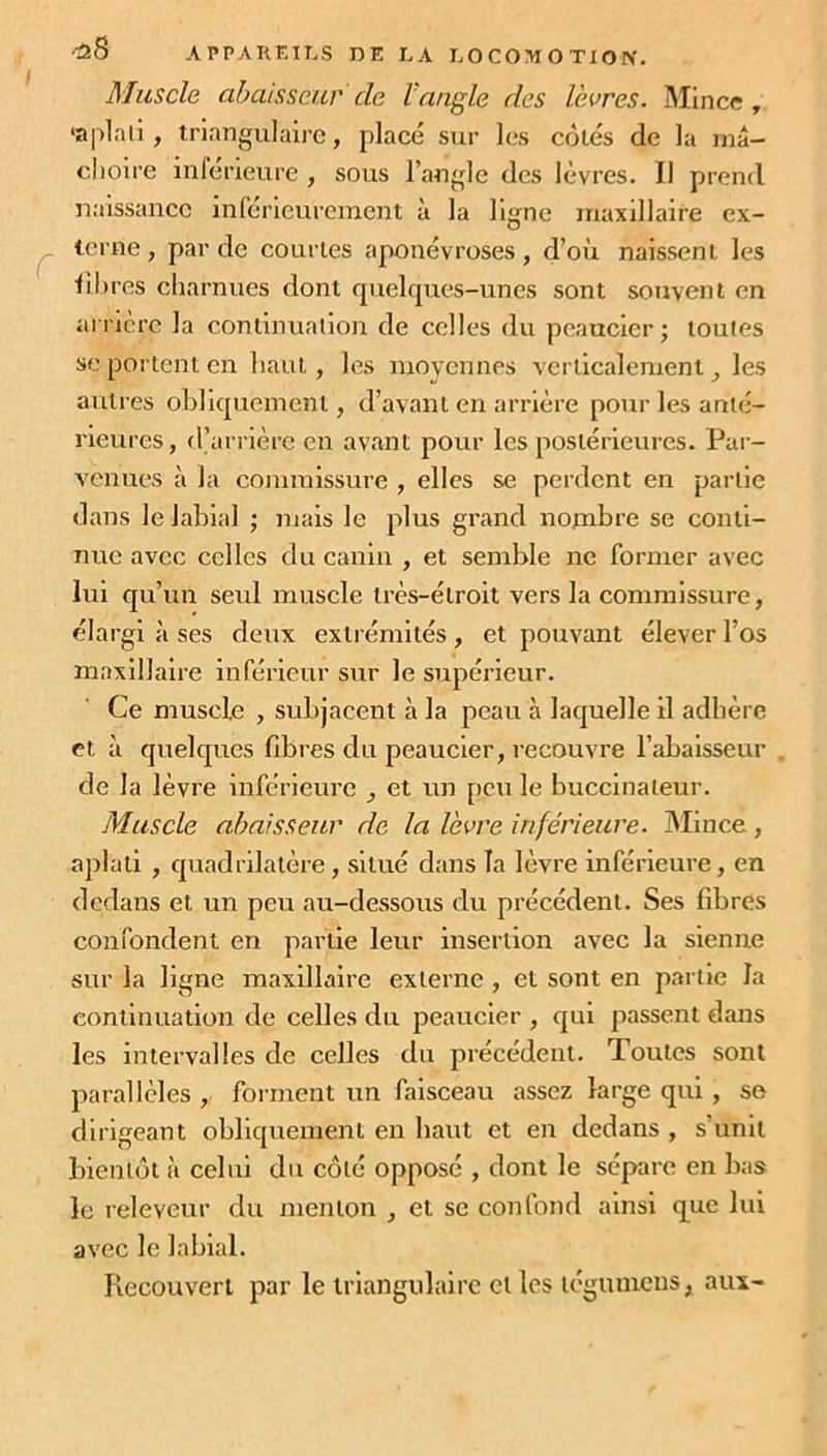 Muscle abaisseur cle Vangle des lèvres. Mince, «aplnû, triangulaire, placé sur les côtés de la mâ- choire inferieure , sous l’angle des lèvres. Il prend naissance inferieurement à la ligne maxillaire ex- terne, par de courtes aponévroses, d’où naissent les libres charnues dont quelques-unes sont souvent en arrière la continuation de celles du peaucier; toutes se portent en haut, les moyennes verticalement les autres obliquement, d’avant en arrière pour les anté- rieures, d’arrière en avant pour les postérieures. Par- venues à la commissure , elles se perdent en partie dans le labial ; mais le plus grand nombre se conti- nue avec celles du canin , et semble ne former avec lui qu’un seul muscle très-étroit vers la commissure, élargi à ses deux extrémités , et pouvant élever l’os maxillaire inférieur sur le supérieur. Ce muscle , subjacent à la peau à laquelle il adhère et à quelques fibres du peaucier, recouvre l’abaisseur de la lèvre inférieure _, et un peu le buccinaleur. Muscle abaisseur de la lèvre inférieure. Mince, aplati , quadrilatère , situé dans la lèvre inférieure, en dedans et un peu au-dessous du précédent. Ses fibres confondent en partie leur insertion avec la sienne sur la ligne maxillaire externe , et sont en partie la continuation de celles du peaucier , qui passent dans les intervalles de celles du précédent. Toutes sont parallèles , forment un faisceau assez large qui , se dirigeant obliquement en haut et en dedans , s’unit bientôt a celui du côté opposé , dont le sépare en bas le releveur du menton , et se confond ainsi que lui avec le labial. Recouvert par le triangulaire et les légumens x aux-