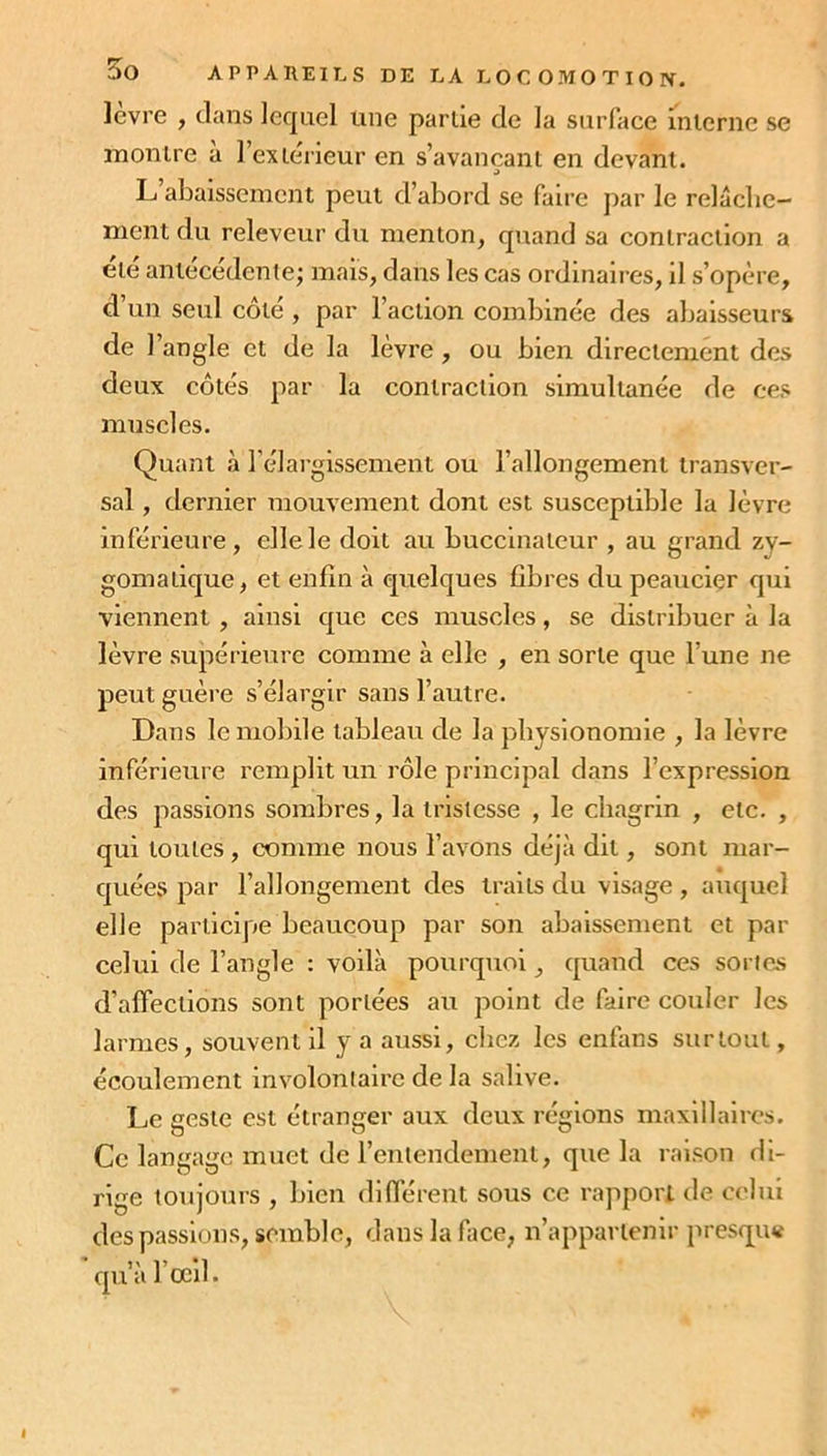 levre , dans lequel une partie de la surface interne se montre à l’extérieur en s’avançant en devant. L abaissement peut d’abord se faire par le relâche- ment du releveur du menton, quand sa contraction a été antécédente; mais, dans les cas ordinaires, il s’opère, d’un seul côté , par l’action combinée des abaisseurs de 1 angle et de la lèvre , ou bien directement des deux côtés par la contraction simultanée de ces muscles. Quant à l’élargissement ou l’allongement transver- sal , dernier mouvement dont est susceptible la lèvre inférieure, elle le doit au buccinaleur , au grand zy- gomatique, et enfin à quelques fibres du peaucier qui viennent , ainsi que ces muscles, se distribuer à la lèvre supérieure comme à elle , en sorte que l’une ne peut guère s’élargir sans l’autre. Dans le mobile tableau de la physionomie , la lèvre inférieure remplit un rôle principal dans l’expression des passions sombres, la tristesse , le chagrin , etc. , qui toutes , comme nous l’avons déjà dit, sont mar- quées par l’allongement des traits du visage, auquel elle participe beaucoup par son abaissement et par celui de l’angle : voilà pourquoi, quand ces sortes d’affections sont portées au point de faire couler les larmes, souvent il y a aussi, chez les enfans surtout, écoulement involontaire de la salive. Le geste est étranger aux deux régions maxillaires. Ce langage muet de l’entendement, que la raison di- rige toujours , bien différent sous ce rapport de celui des passions, semble, dans la face, n’appartenir presque qu’à l’œil.